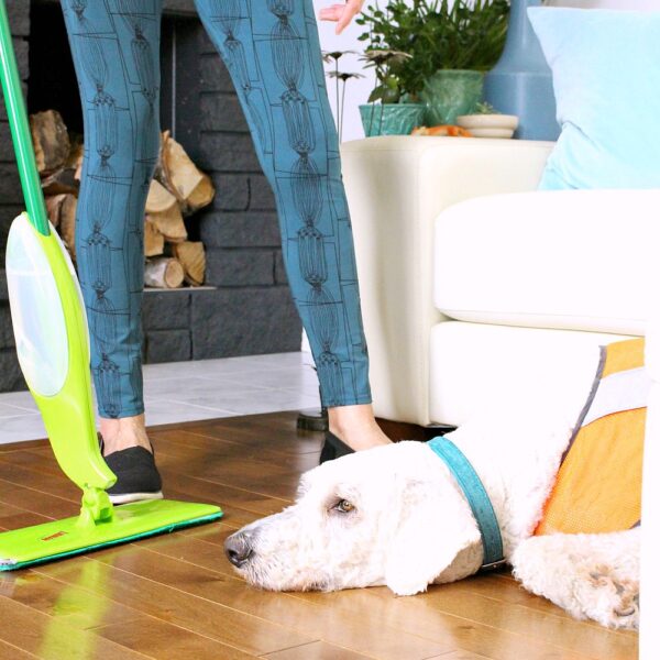 KEEP HOUSE CLEAN WITH DOGS