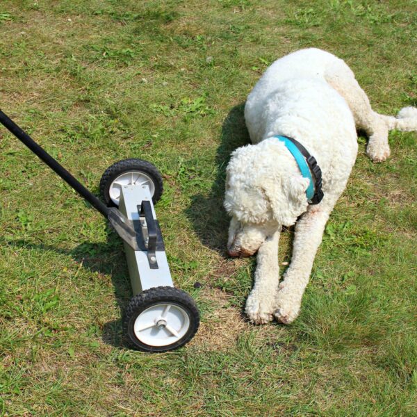 WHY YOU NEED A WHEELED MAGNET