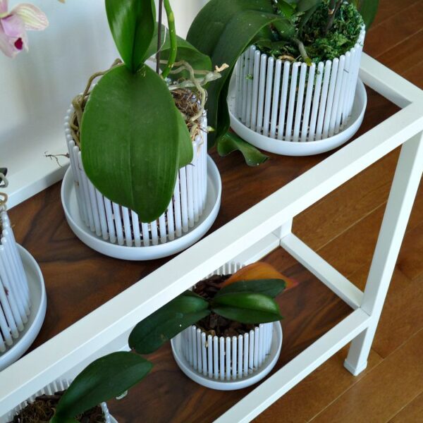 HACK FOR PLANT STAND WITH BROKEN GLASS