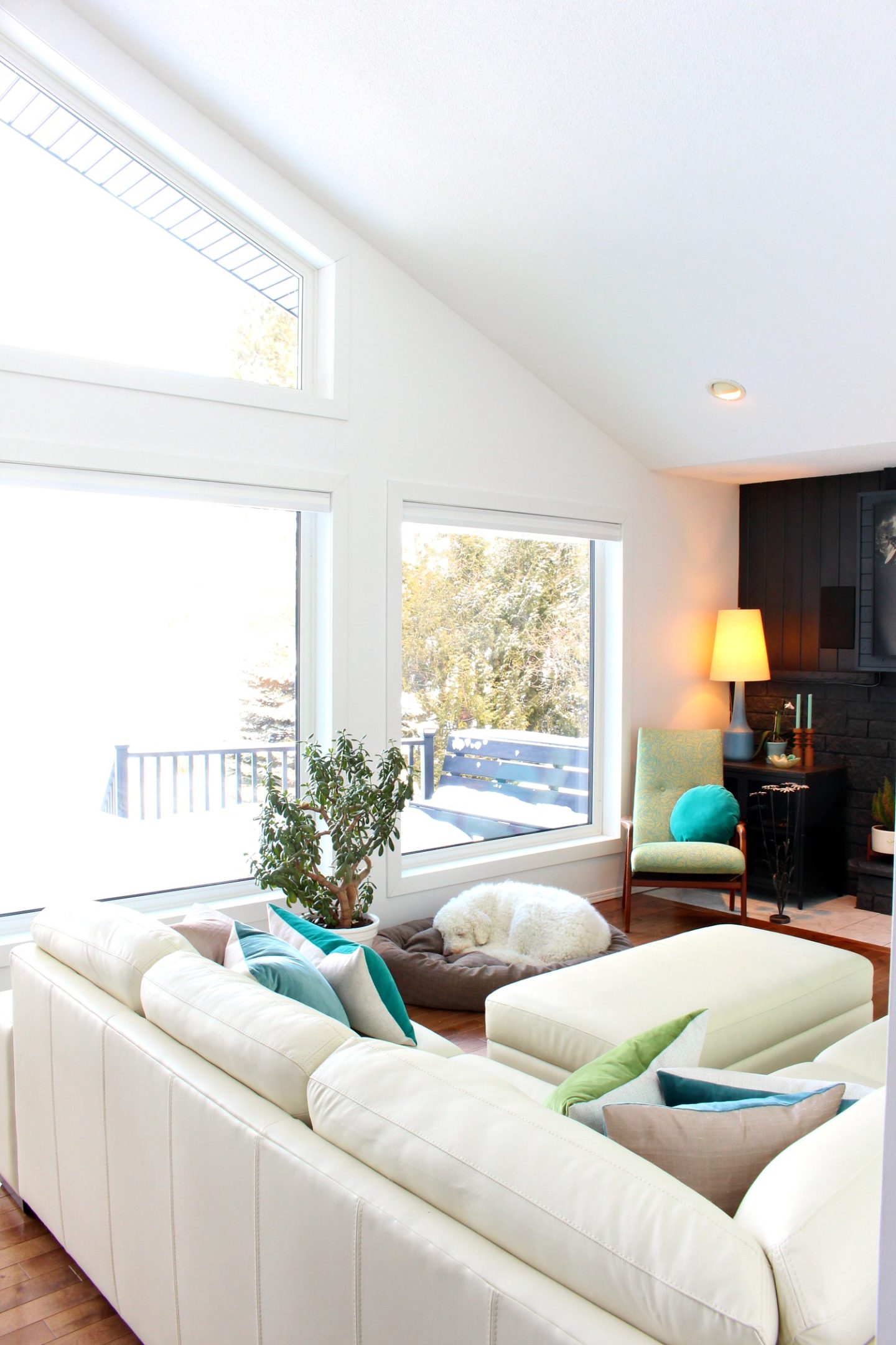 Getting Windows Replaced: What to Expect Getting Bigger Windows Installed