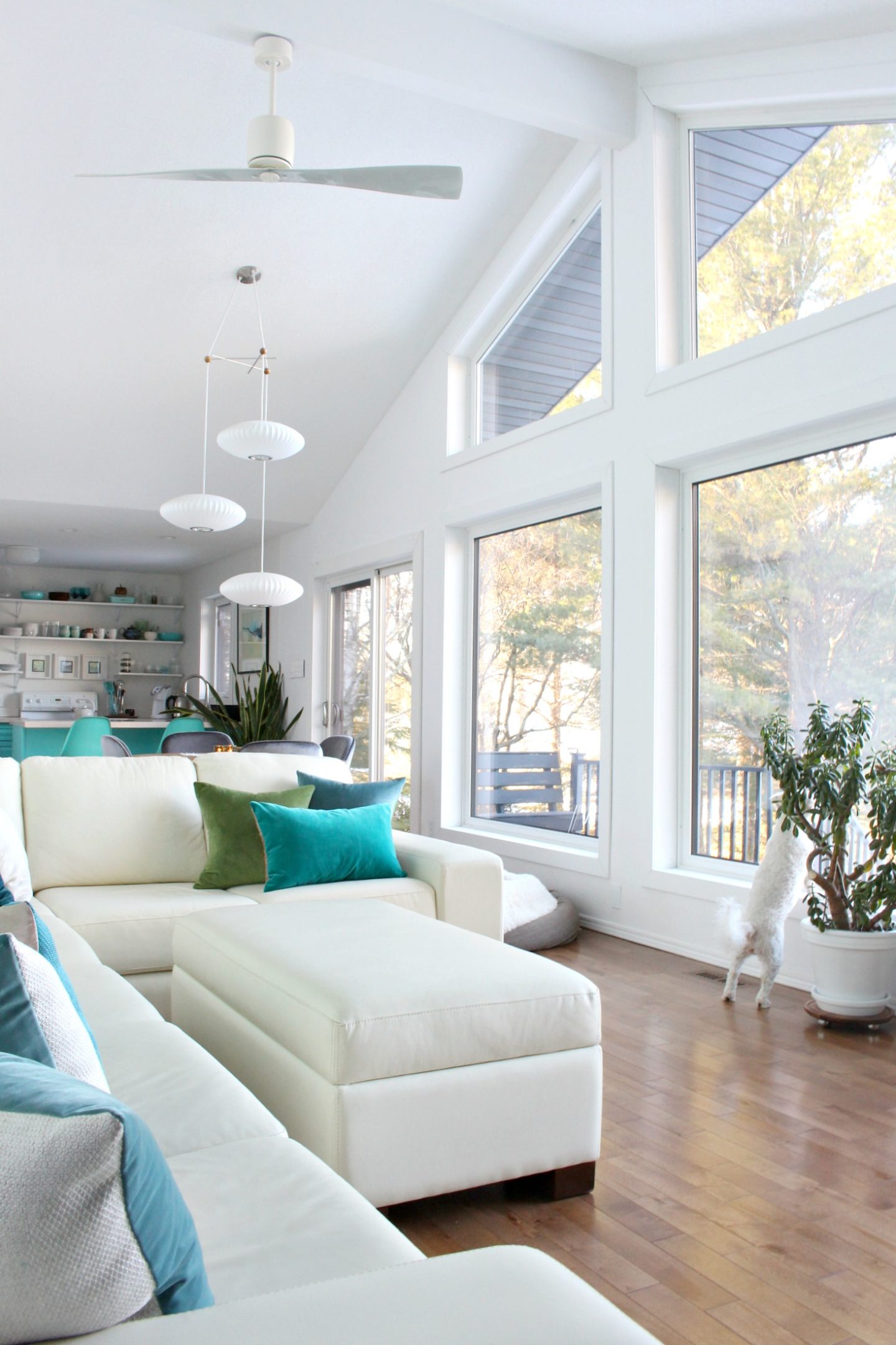 Getting Windows Replaced: What to Expect Getting Bigger Windows Installed