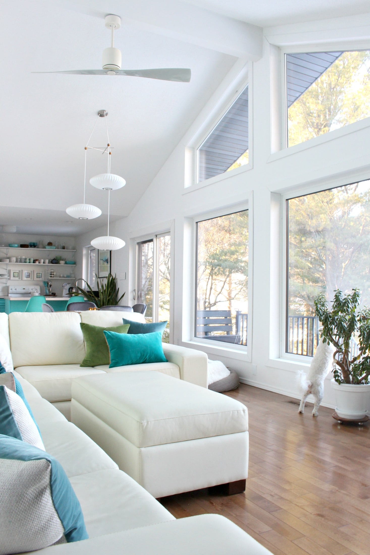 Window Drama + Exterior Renovation Delays