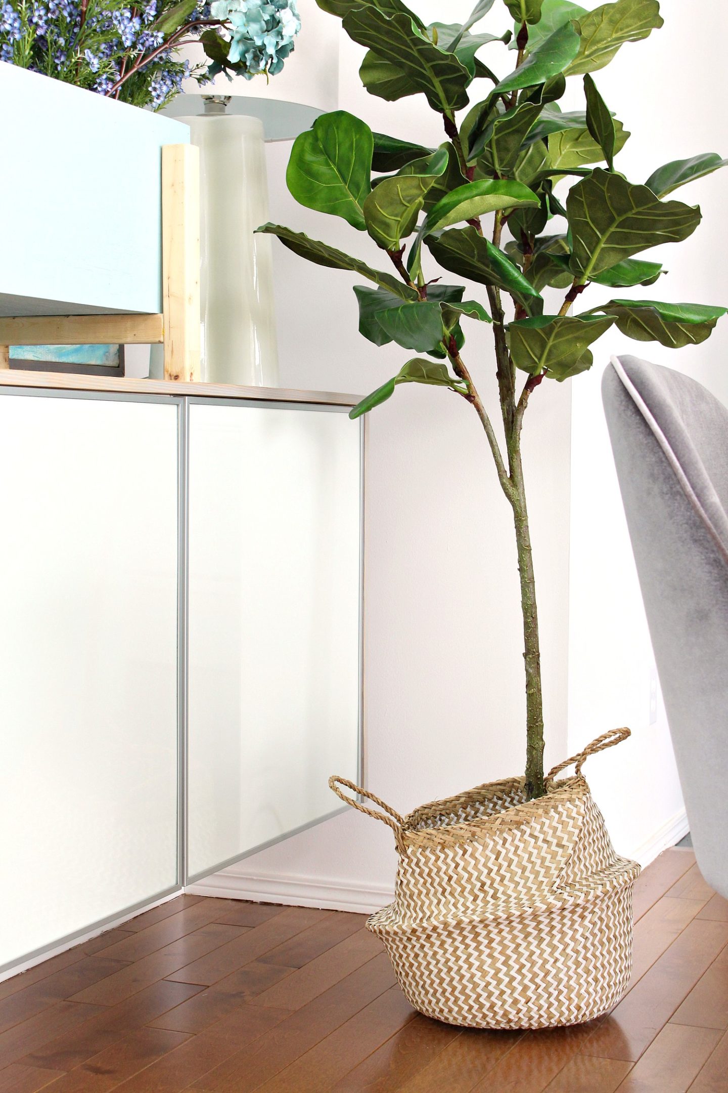 Fiddle Leaf Fig in a Basket