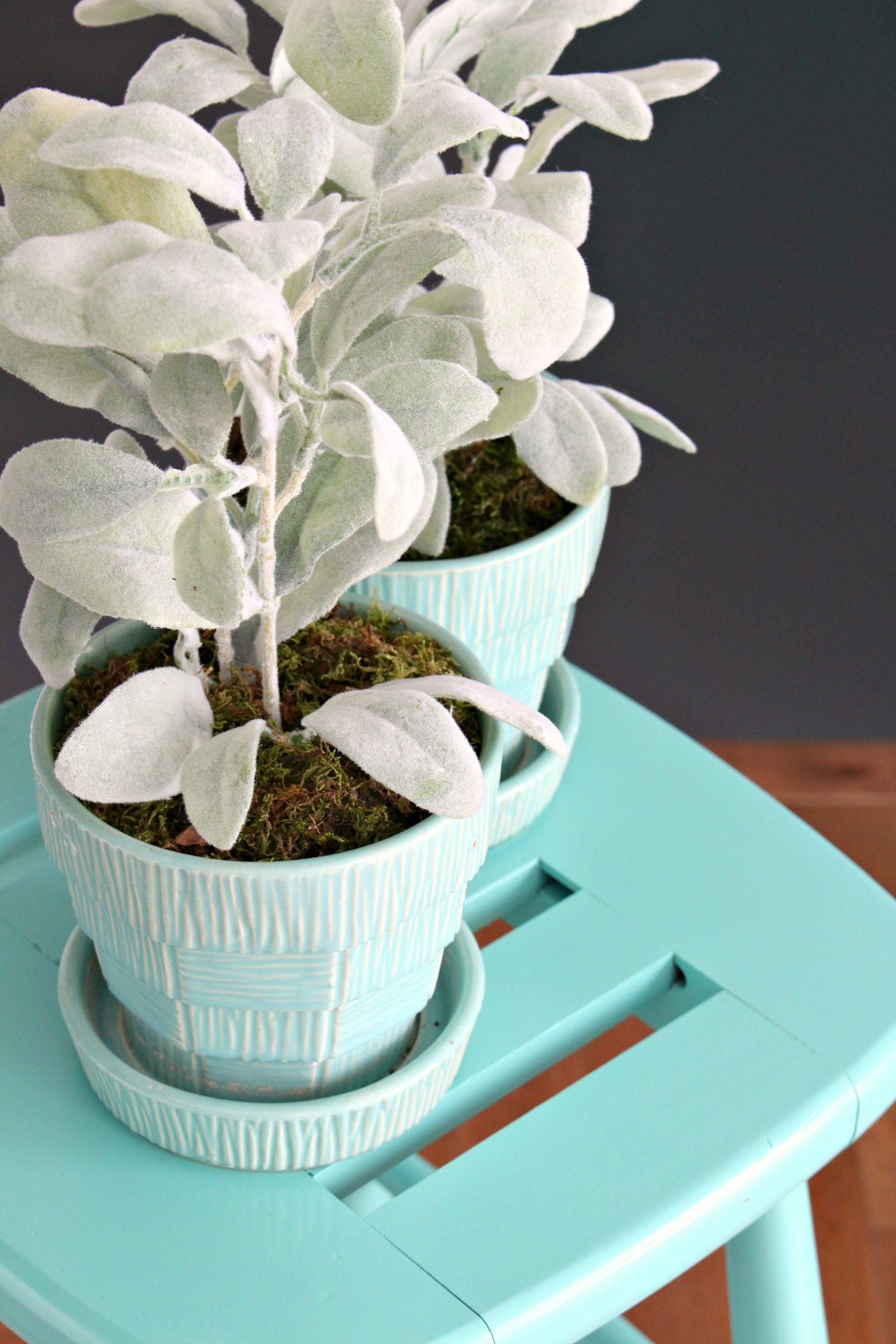 Faux Lamb's Ear Plant