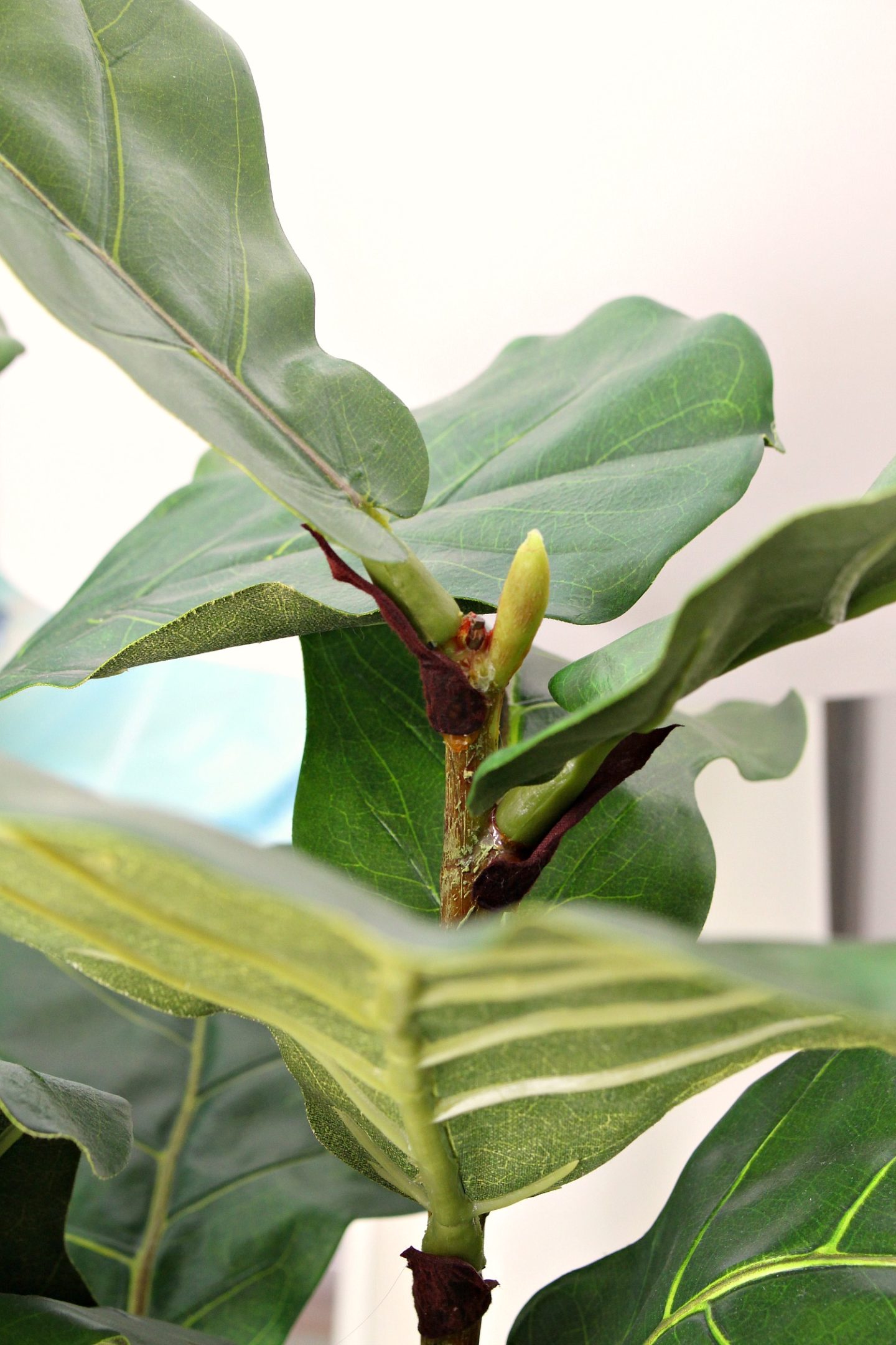 Realistic Looking Fiddle Leaf Fig Plant That's Artifical