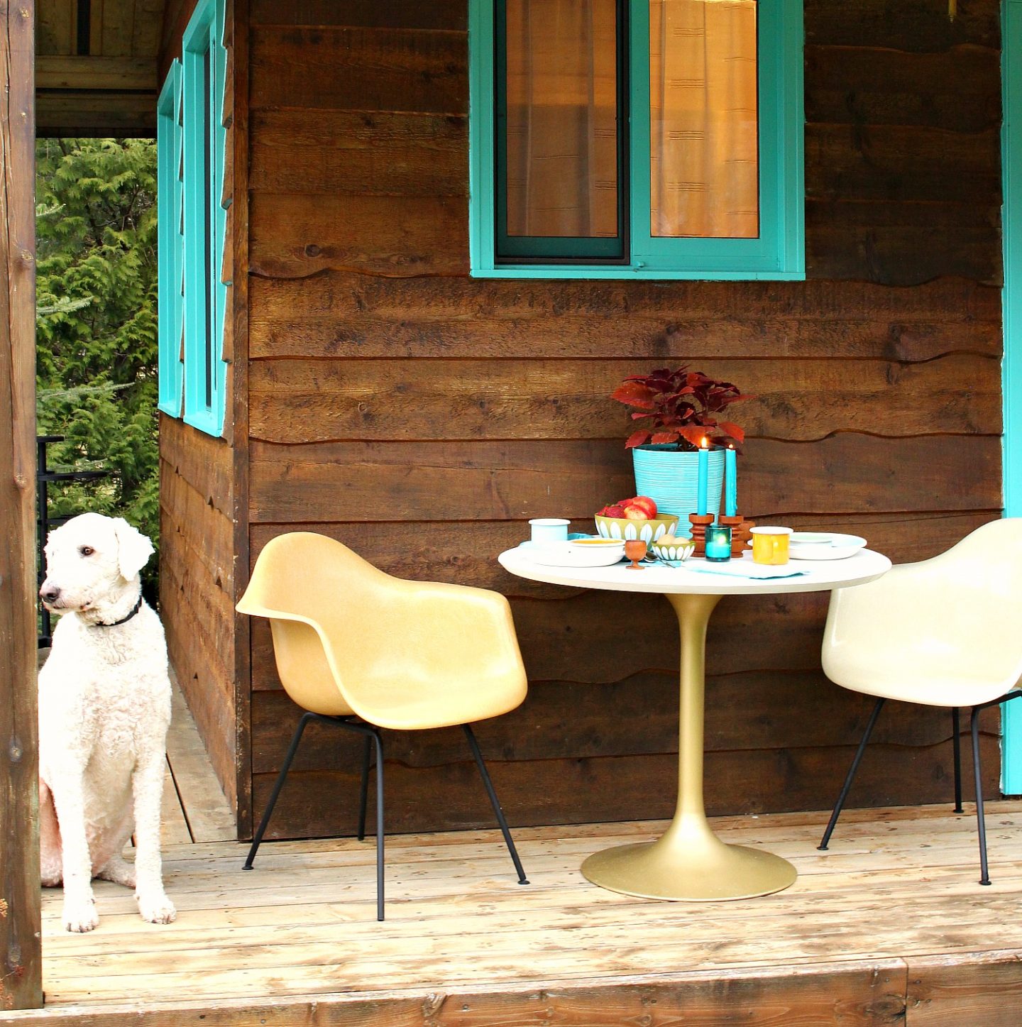 Bunkie Styling with KLIIN - The Best Paper Towel Alternative. Eco-friendly, Compostable Dish Cloths and Cleaning Cloths.