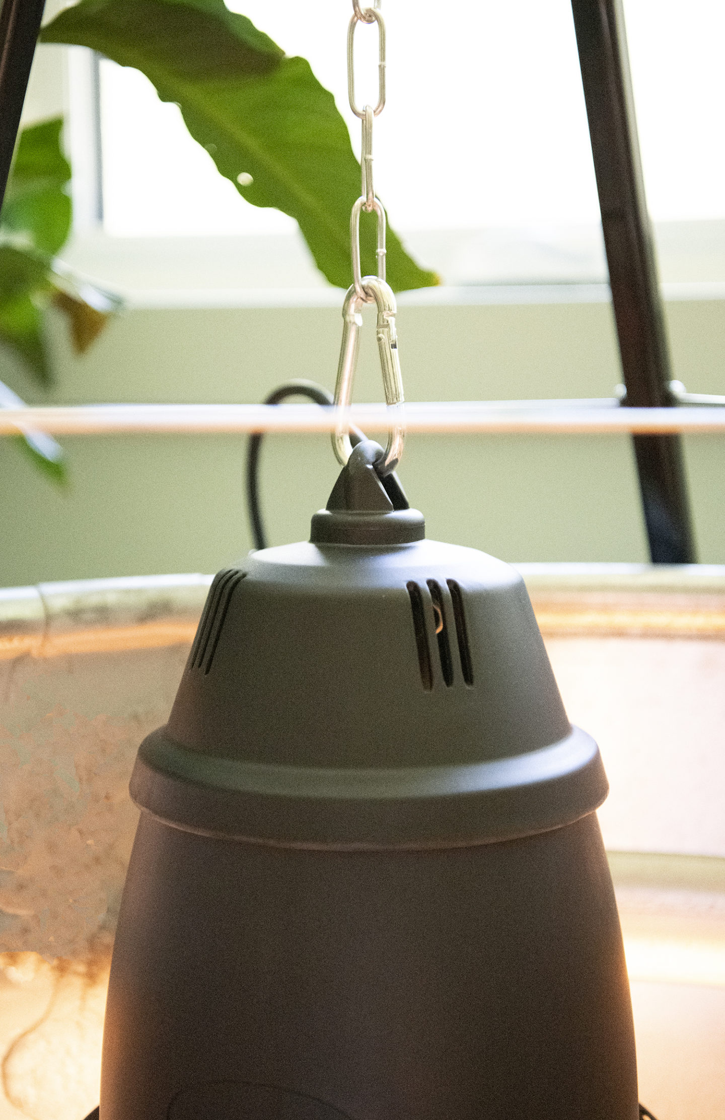 How to Set up a Brooder for Chicks