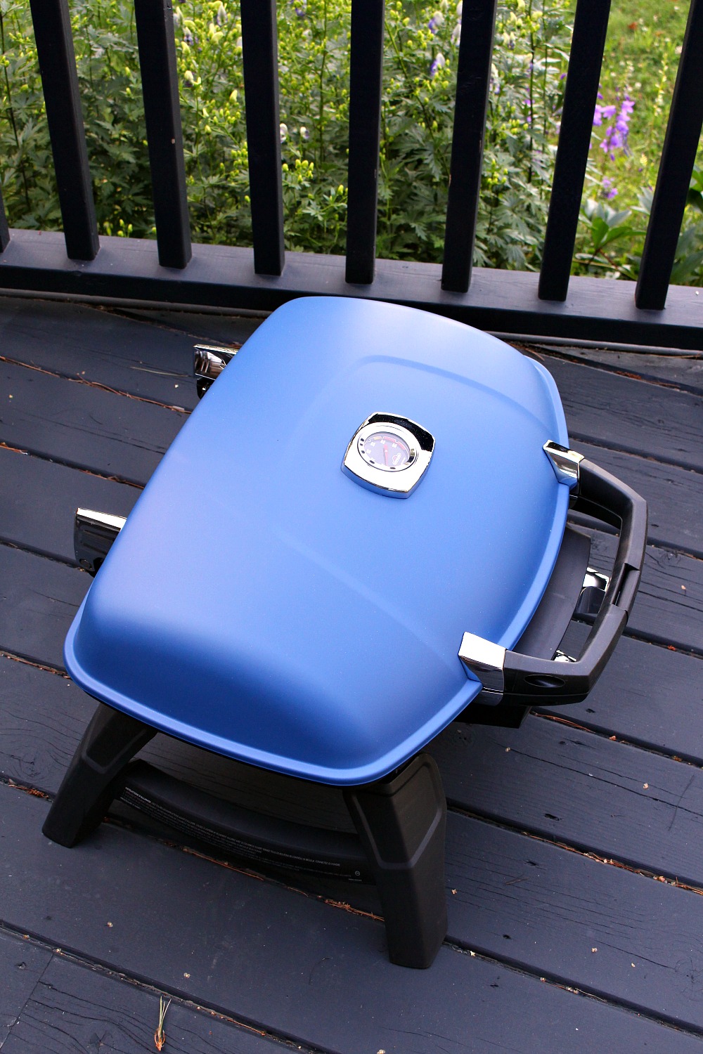 Napolean Portable Gas Grill