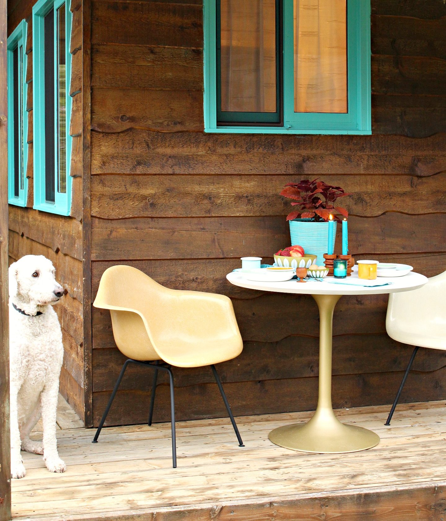 Budget Friendly Renovation Ideas and Hacks