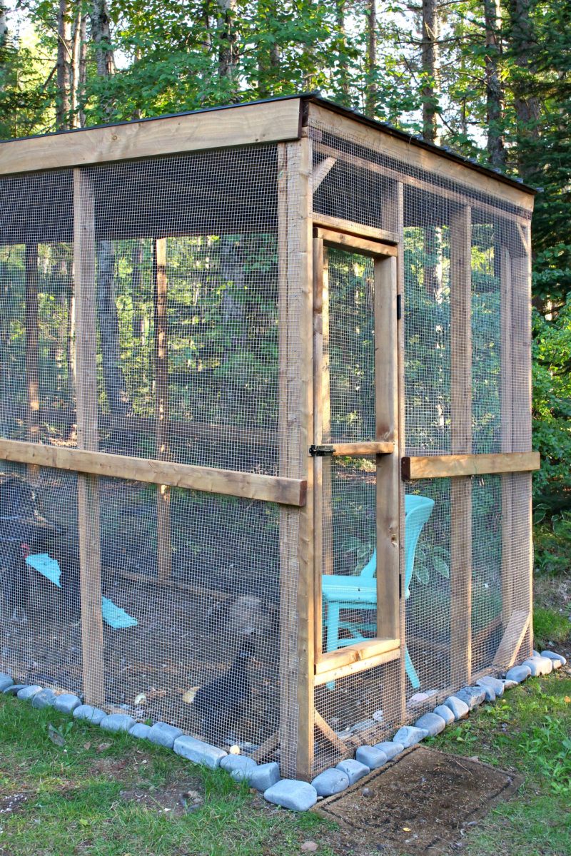 Modern Diy Chicken Coop Chicken Coop And Run Built On A Hill Dans Le Lakehouse 