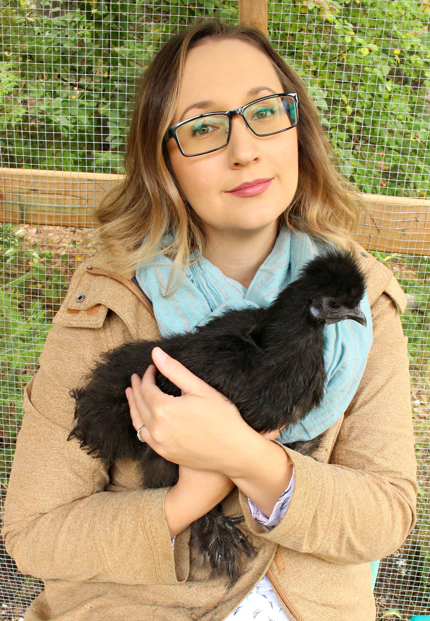 Are Silkies Snuggly?