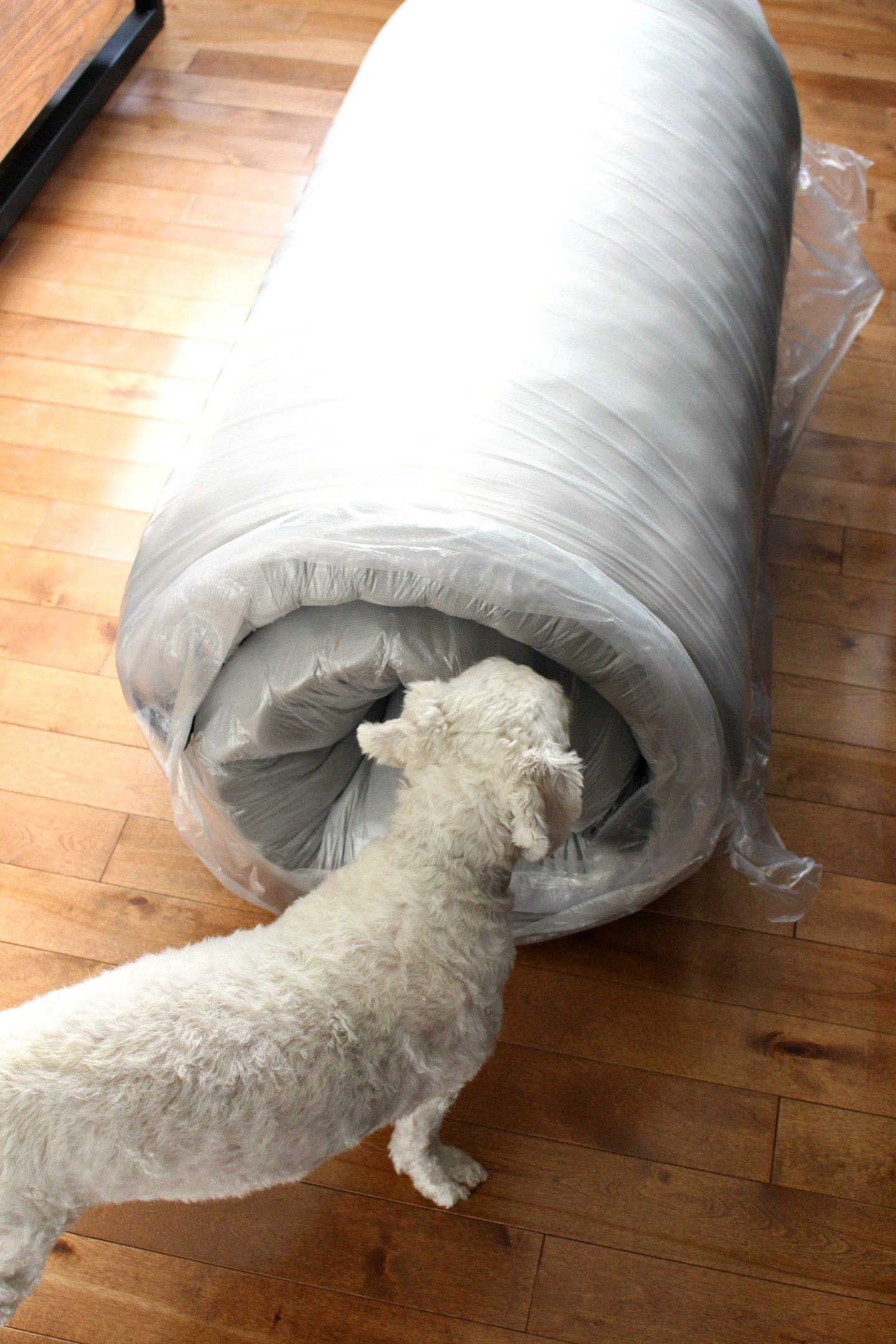 Nest Bedding Alexander Signature Hybrid Mattress Review