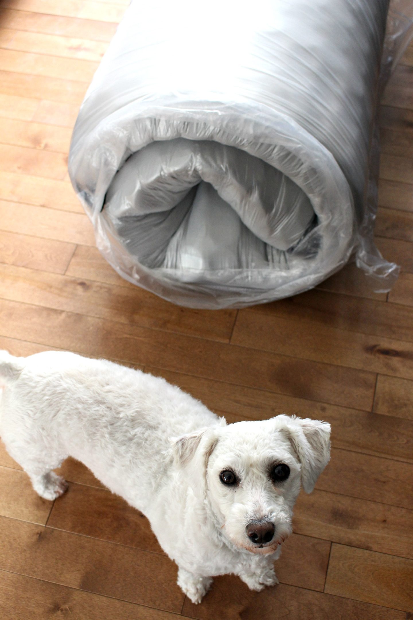 Nest Bedding Alexander Signature Hybrid Mattress Review
