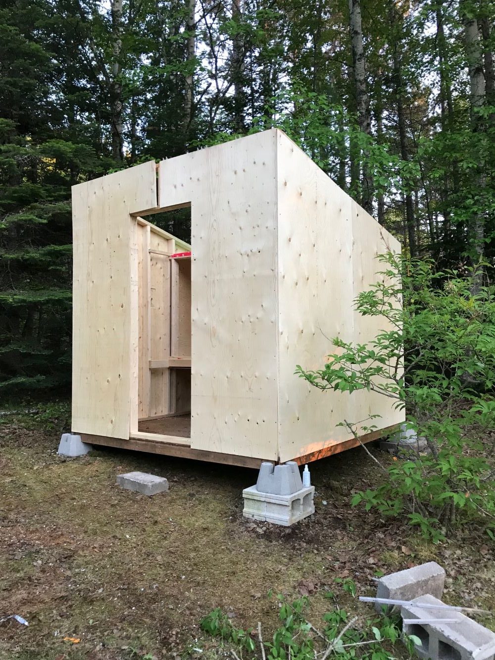 DIY Chicken Coop Hidden Inside Shed