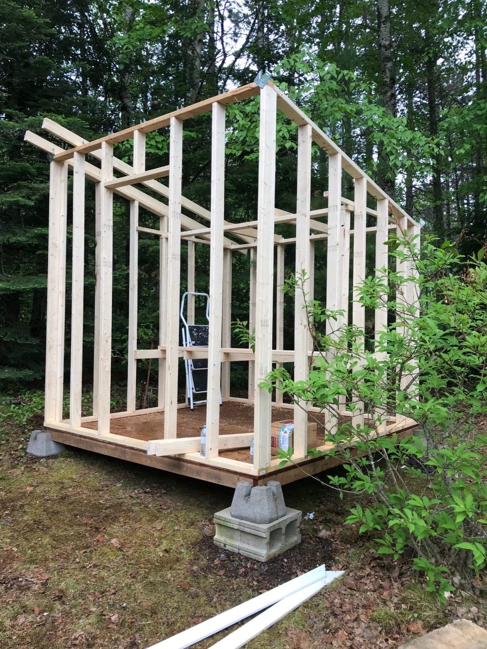 Modern Chicken Coop Design Tutorial