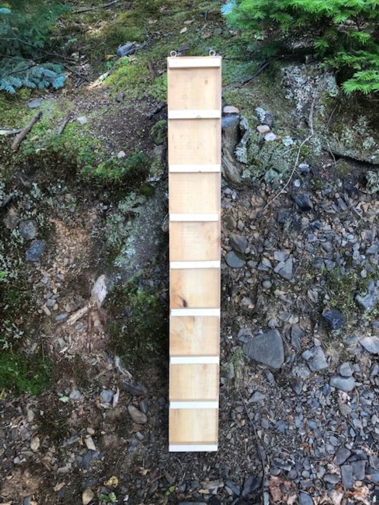 How to Make a Chicken Ladder