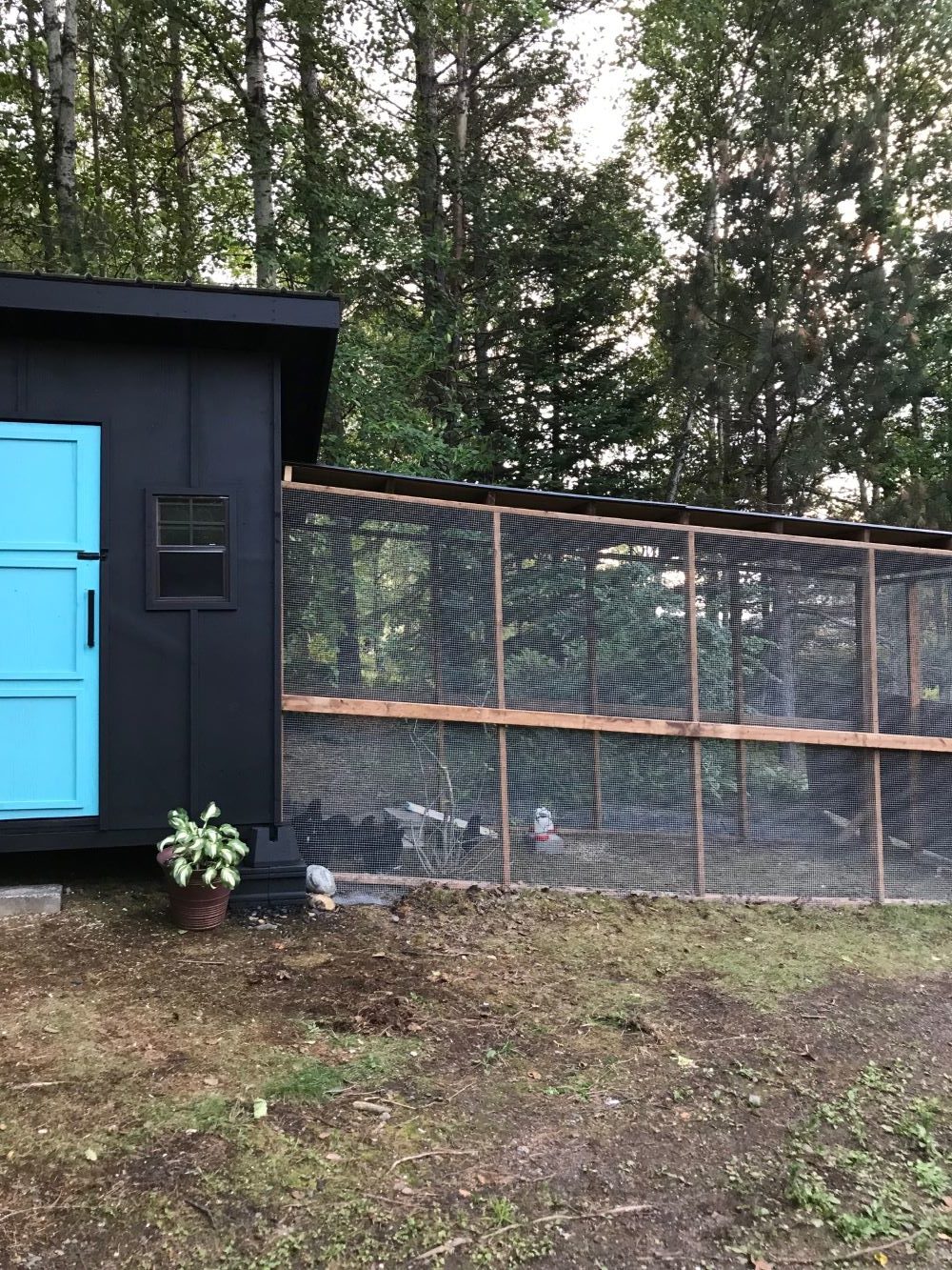 How to Build a Chicken Coop on a Hill