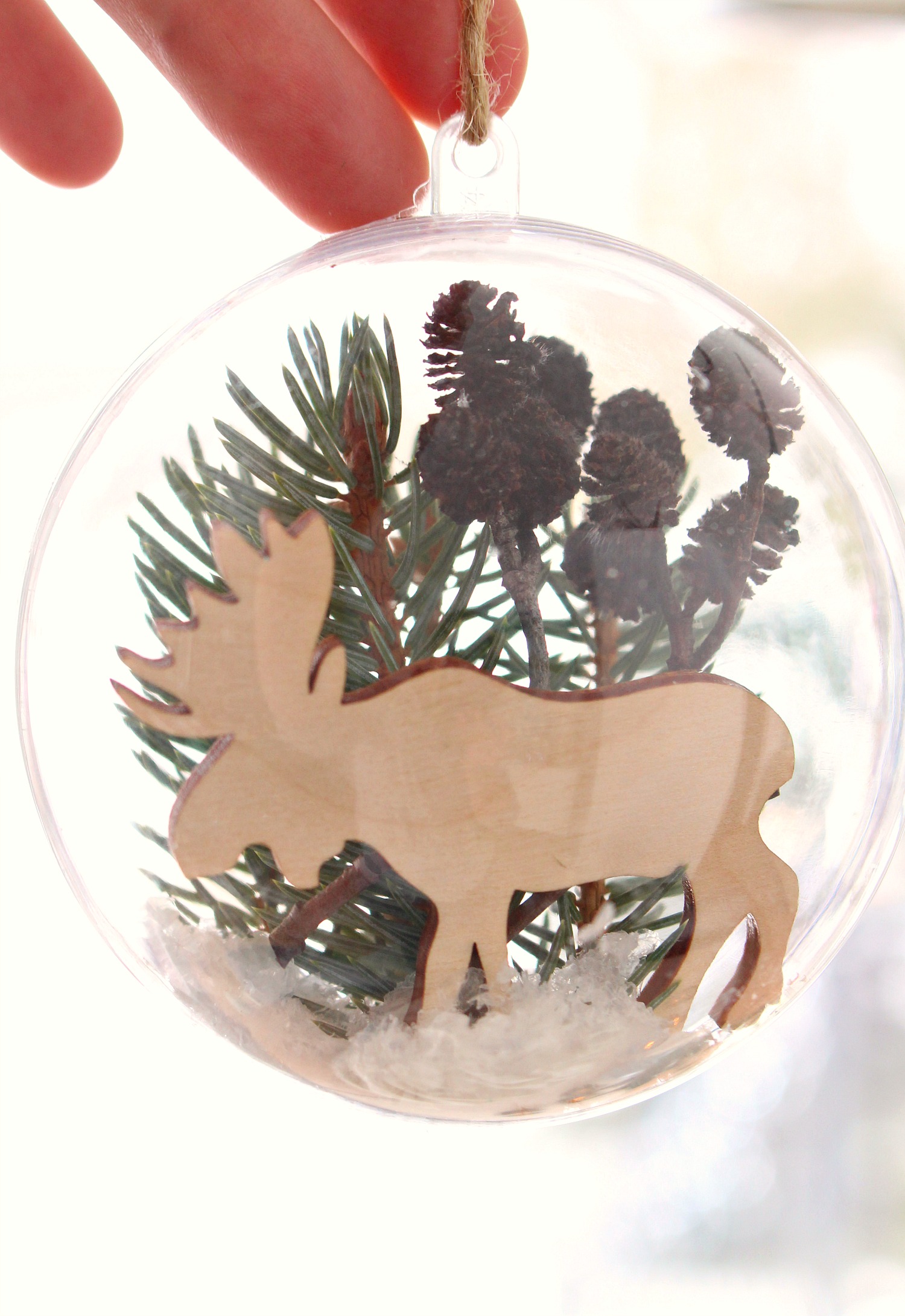 Nature Inspired Diy Ornament Fillable Ornament Ideas Dans Le Lakehouse