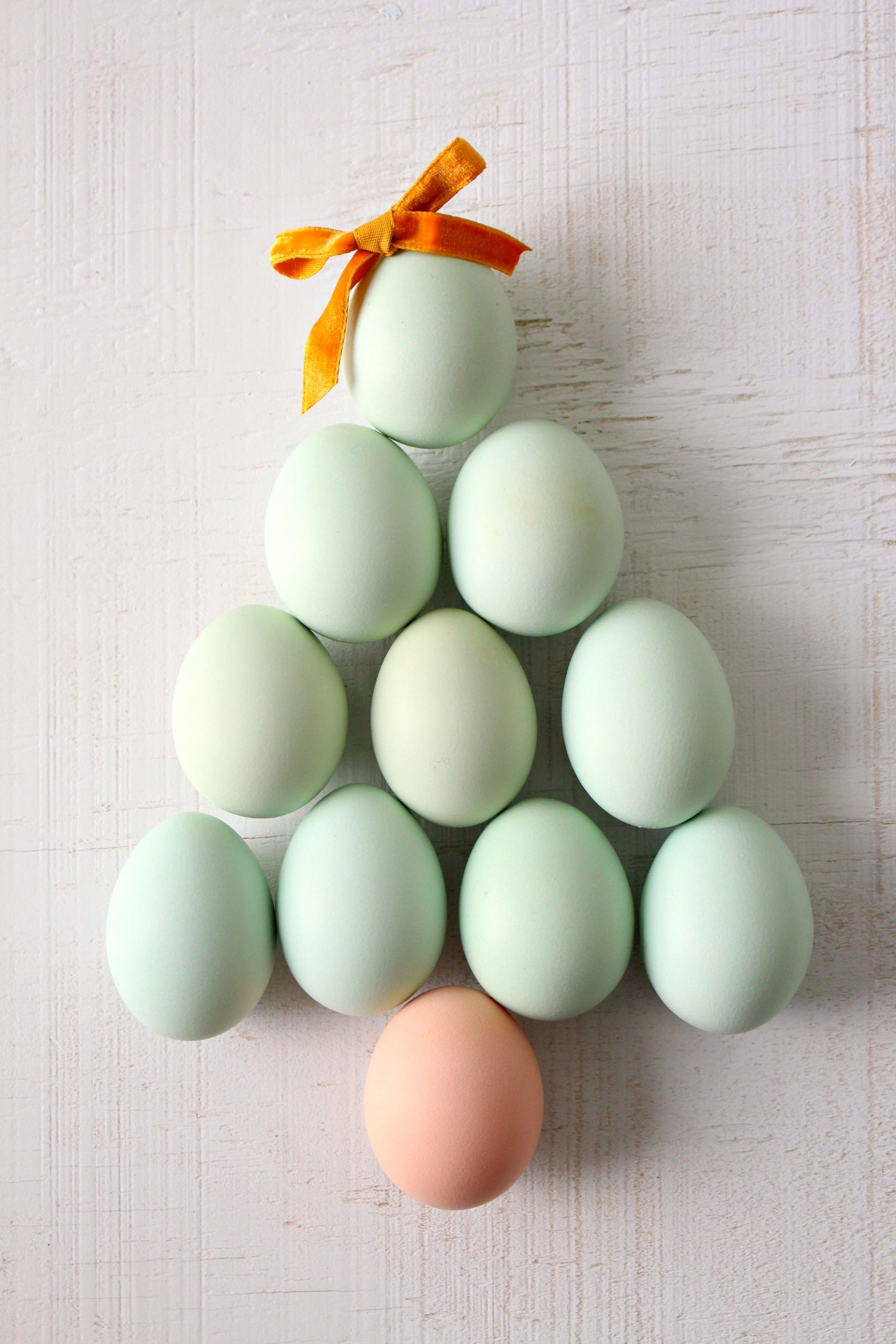 Merry Christmas from the Chickens