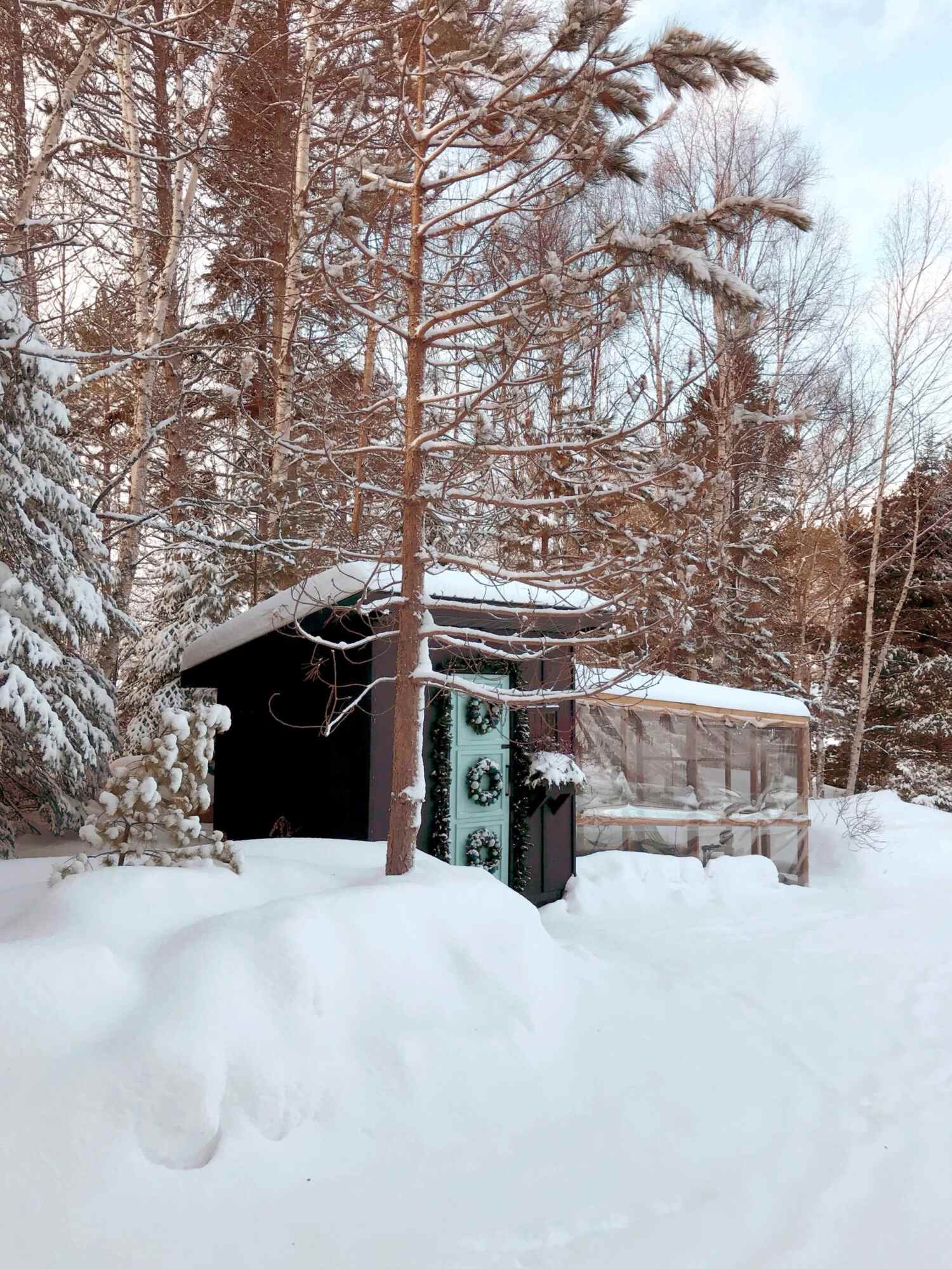Keeping Chickens Warm in Extreme Cold Winter Weather