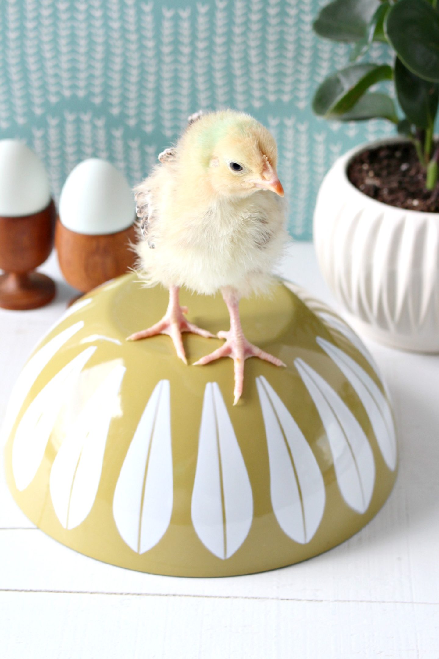 Chicks and Vintage Cathrineholm