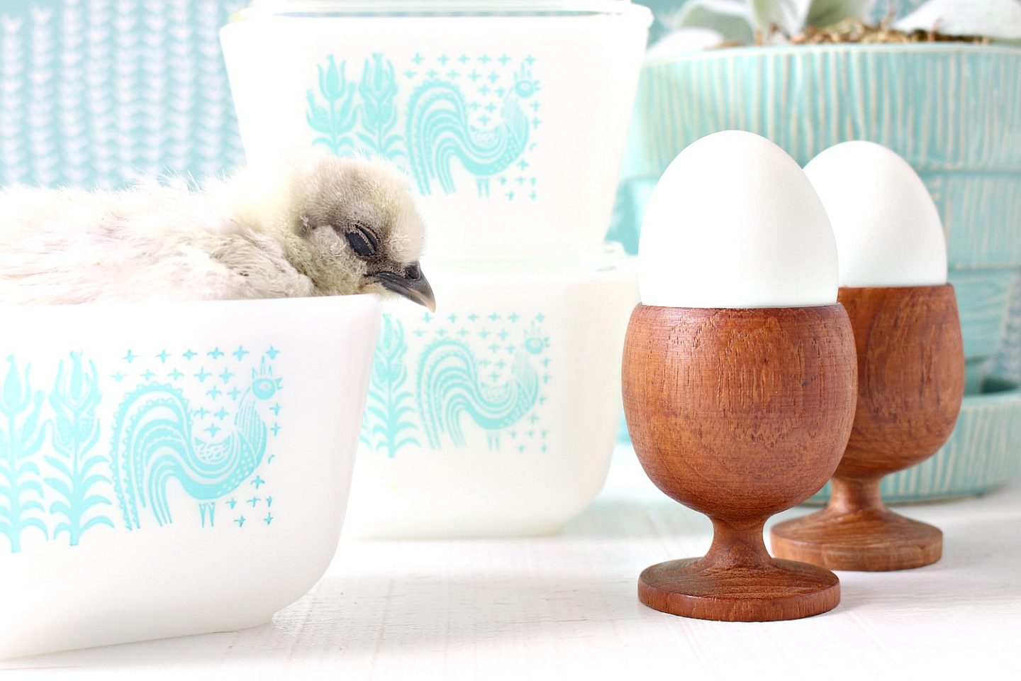 Spring Chicks and Vintage Butterprint Pyrex