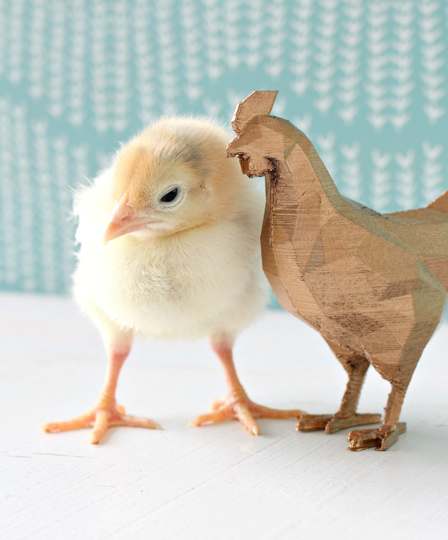 3D Printed Chicken