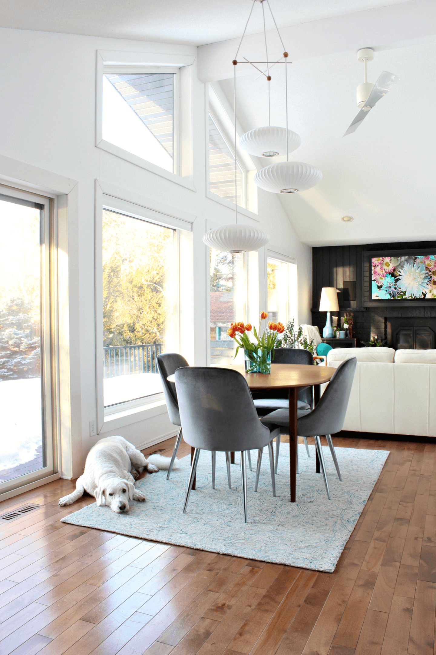 13 Easy Ways to Keep Your Dog Cool This Summer