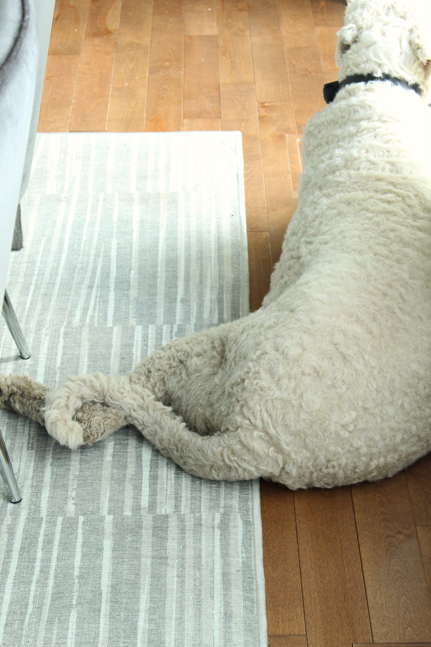 how-to-wash-a-ruggable-rug-in-three-easy-methods-archute