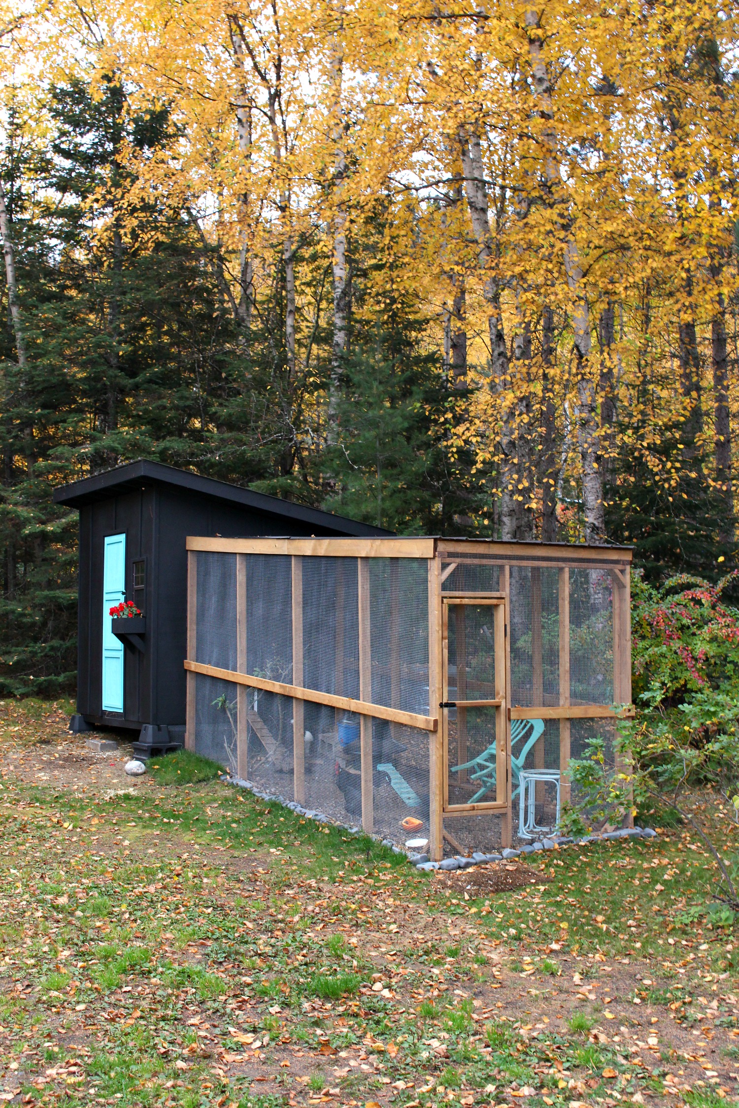 Modern DIY Chicken Coop and Run
