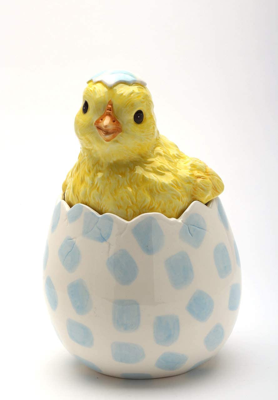 35+ Gift Ideas for Backyard Chicken Keepers 2020