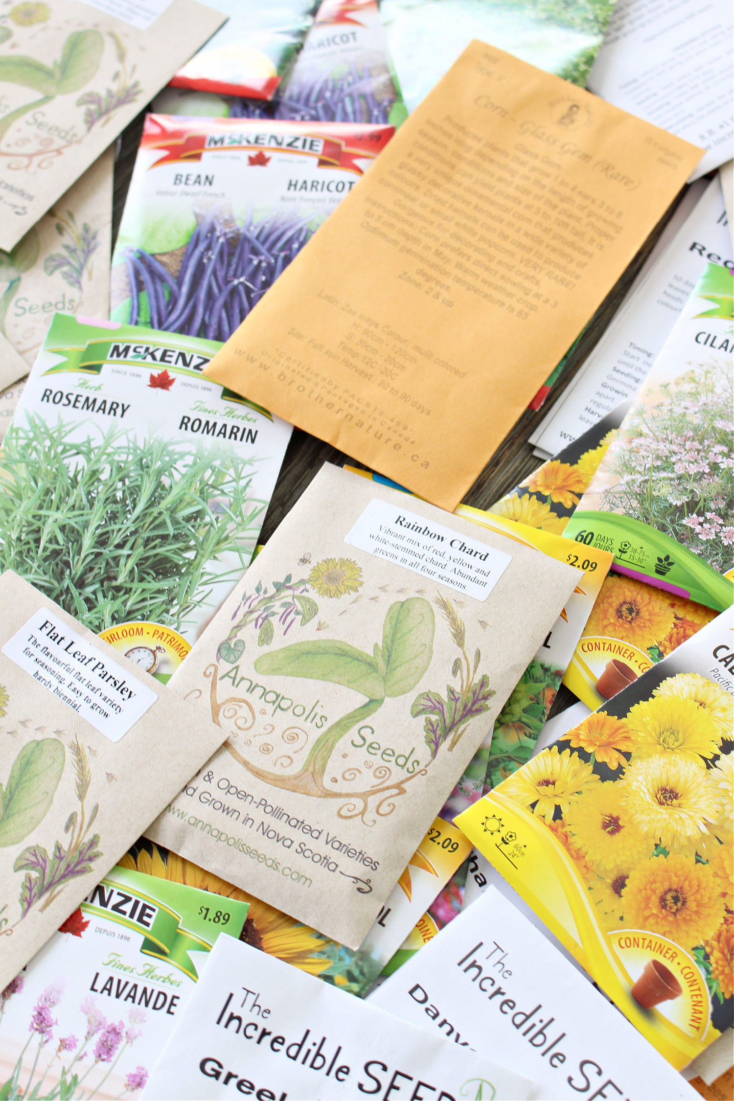 Where to Buy Seeds in Canada