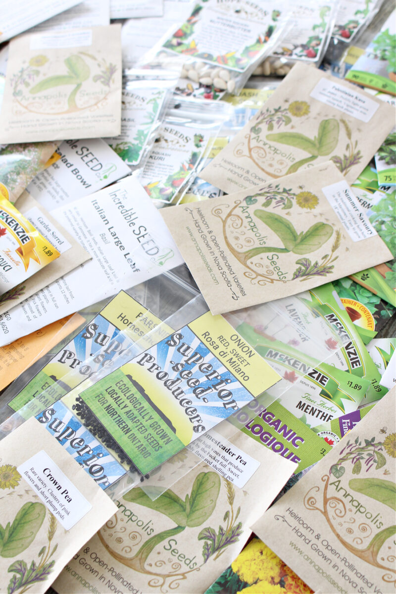 Where to Buy Seeds in Canada