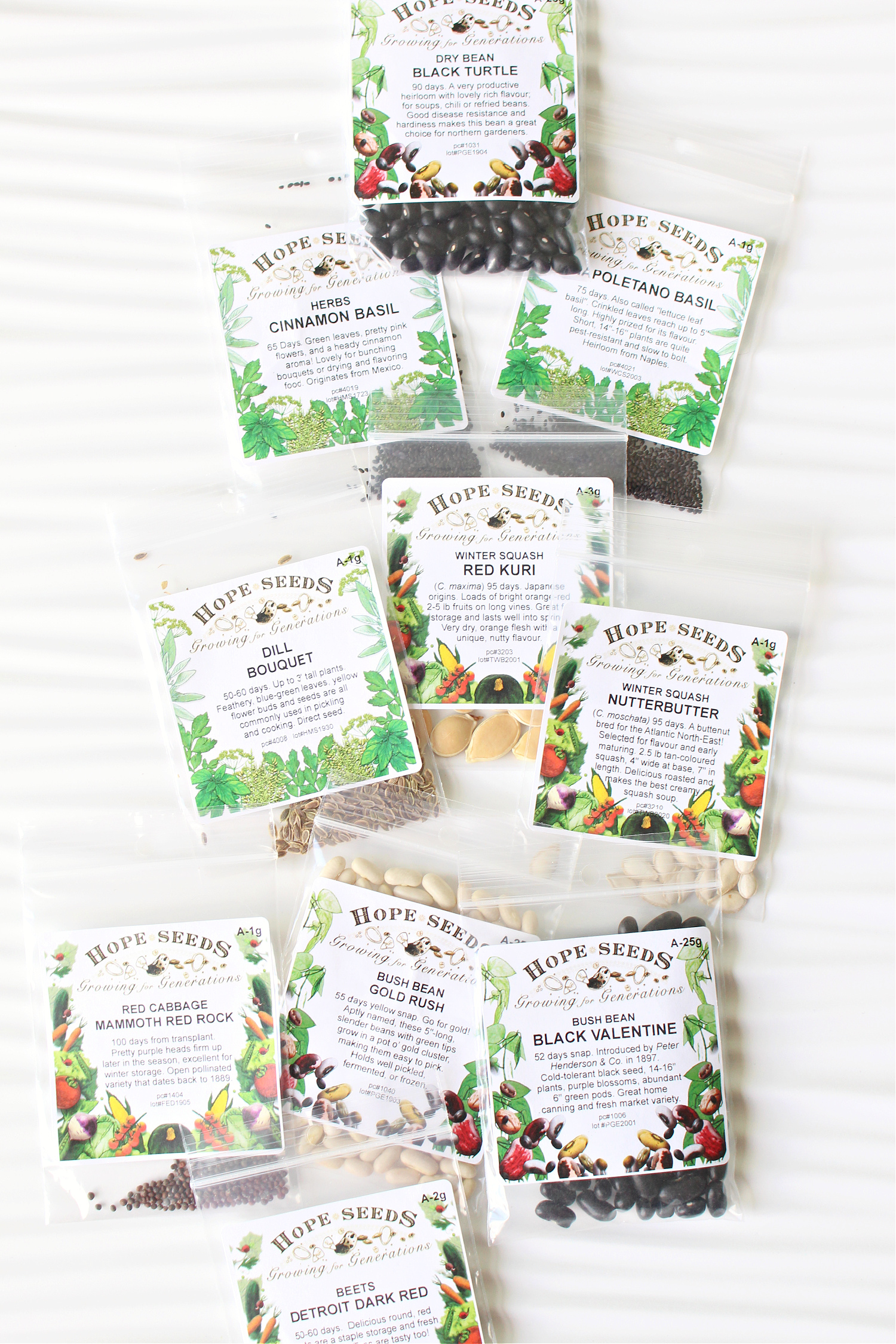 Where to Buy Seeds in Canada: a Review