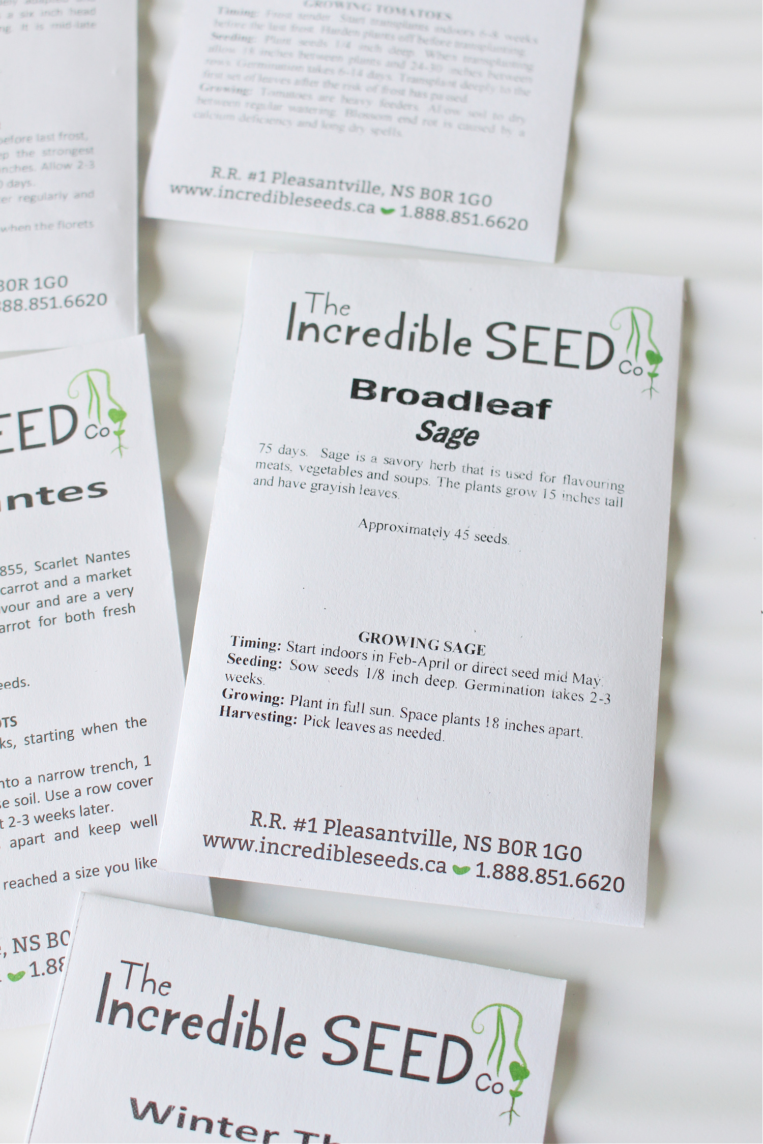 The Incredible Seed Company Review