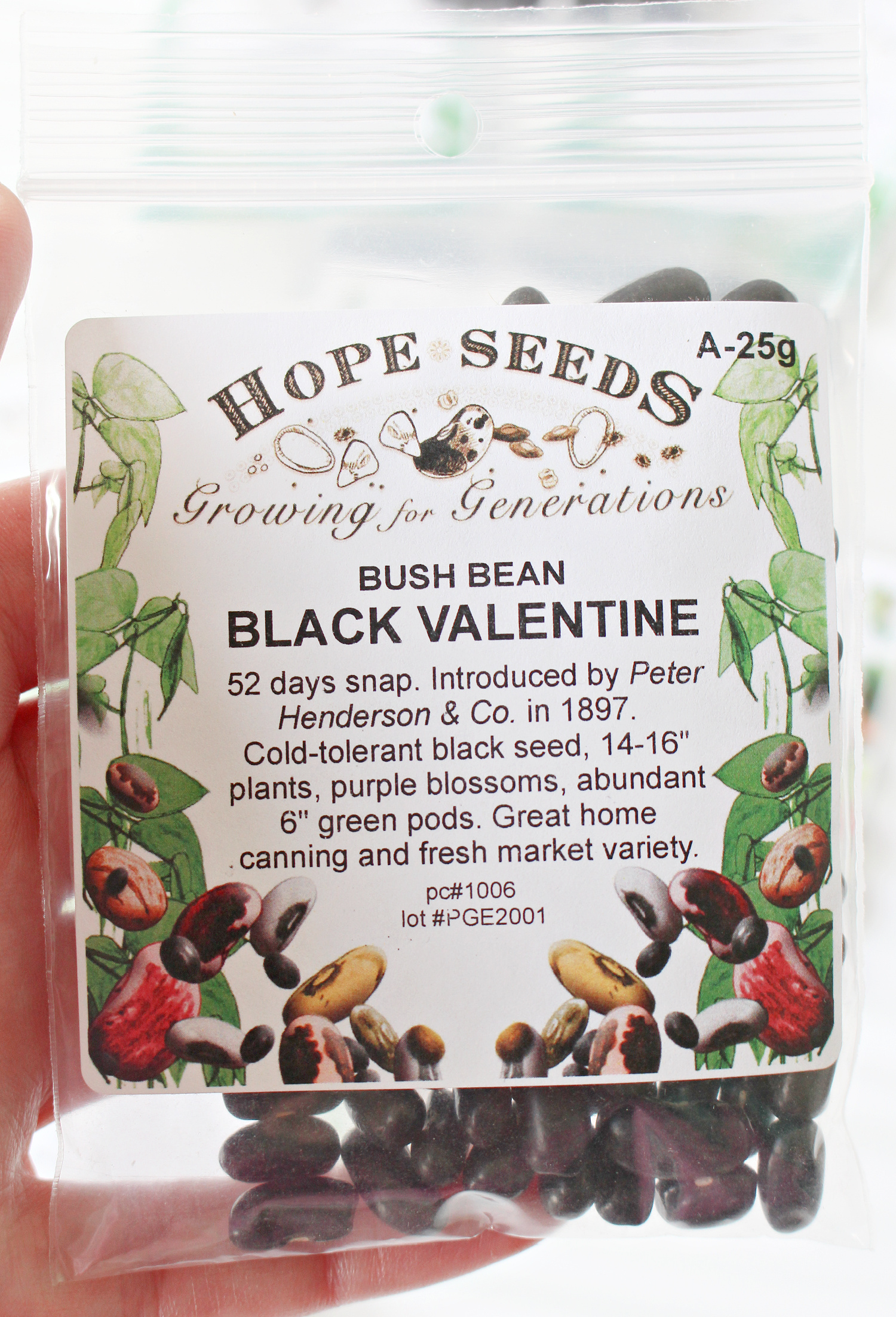 Best Places to Buys Seeds Online in Canada