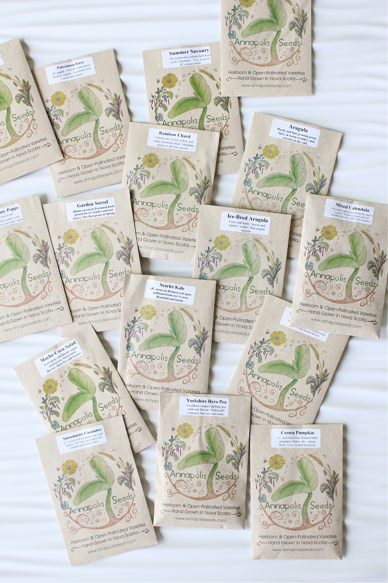 Where to Buy Seeds in Canada