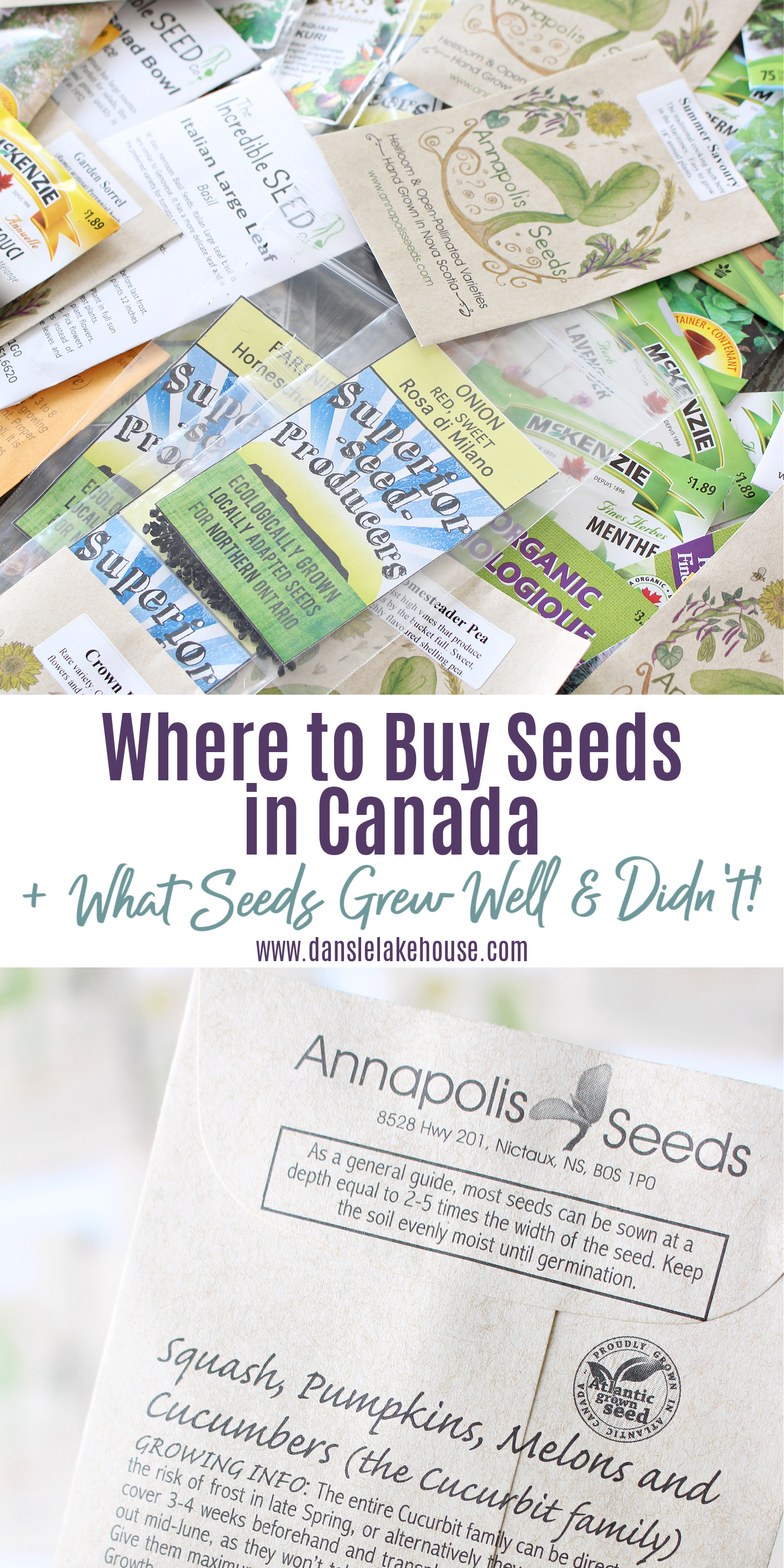 Where to Buy Seeds in Canada
