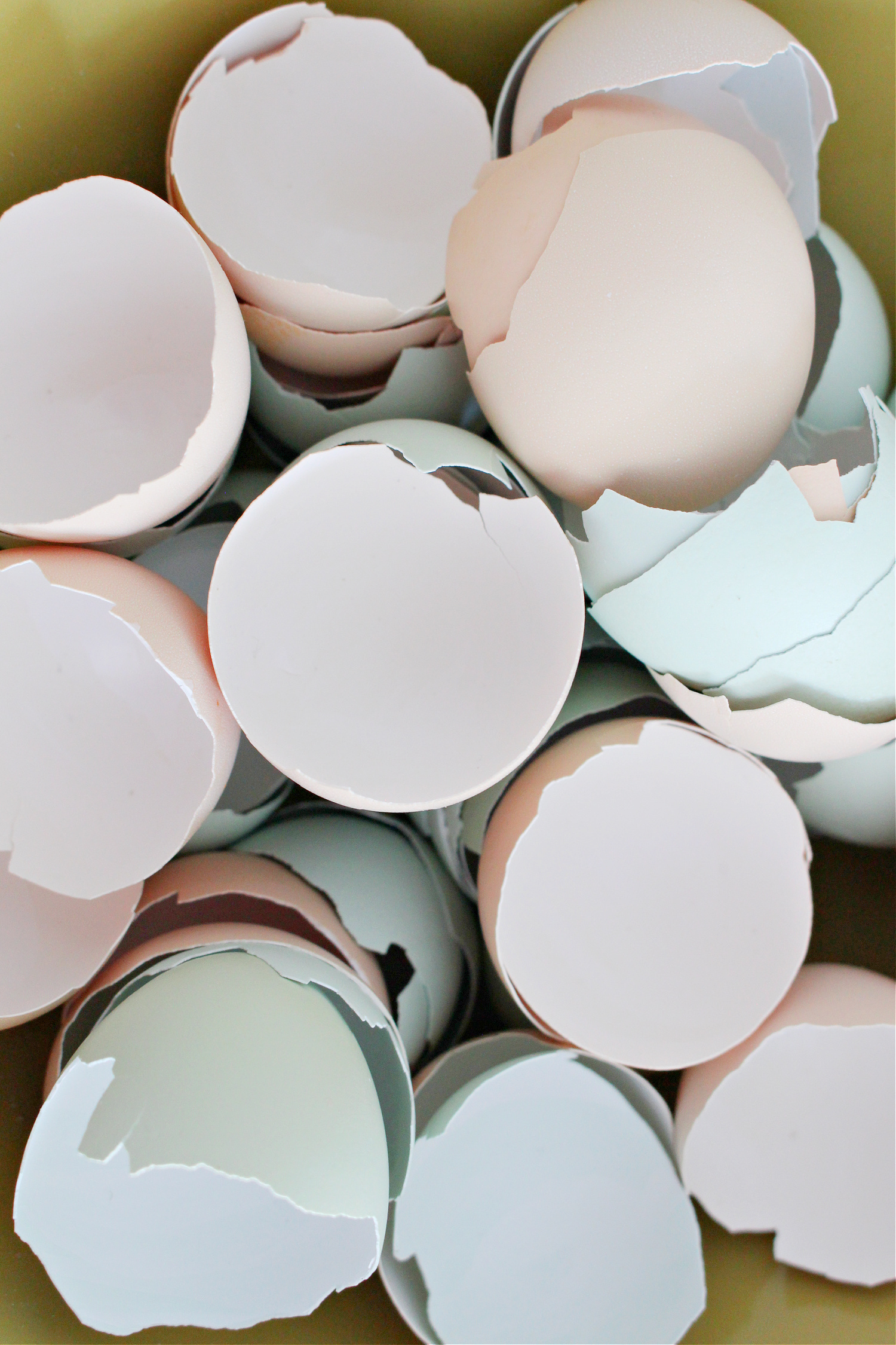 calcium for chickens