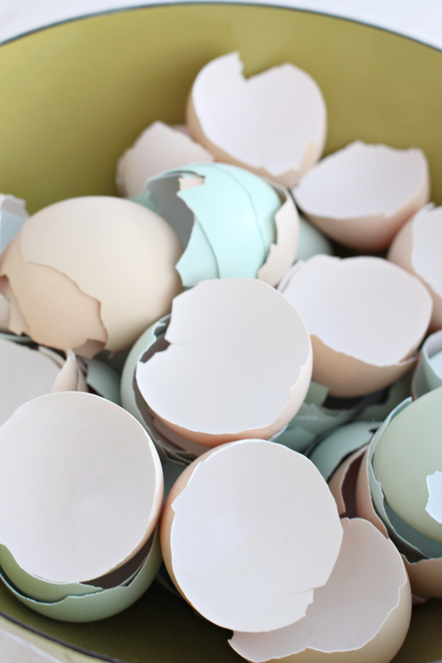 How to Prepare Egg Shells for Chickens Dans le Lakehouse