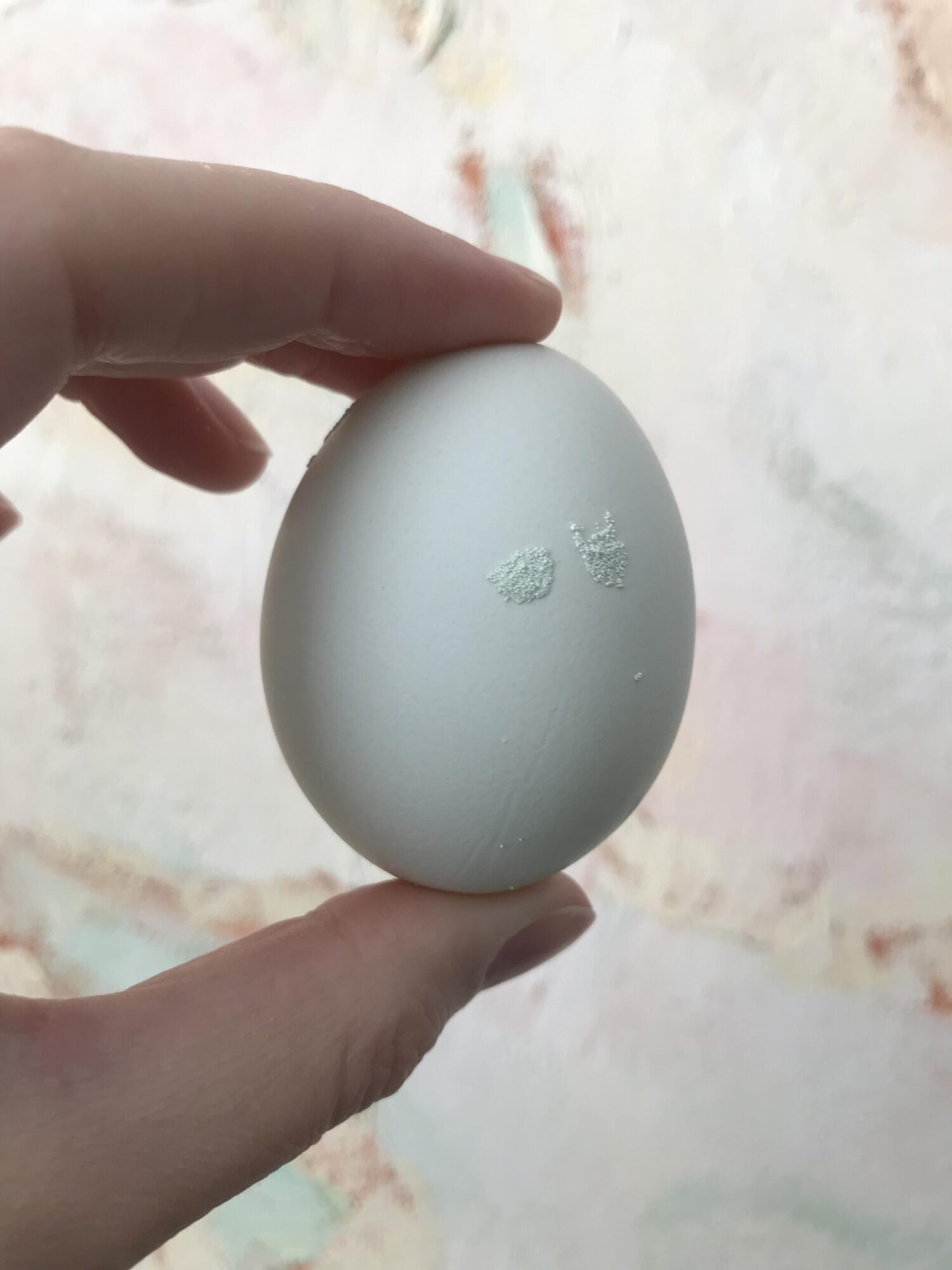 chickens getting too much calcium