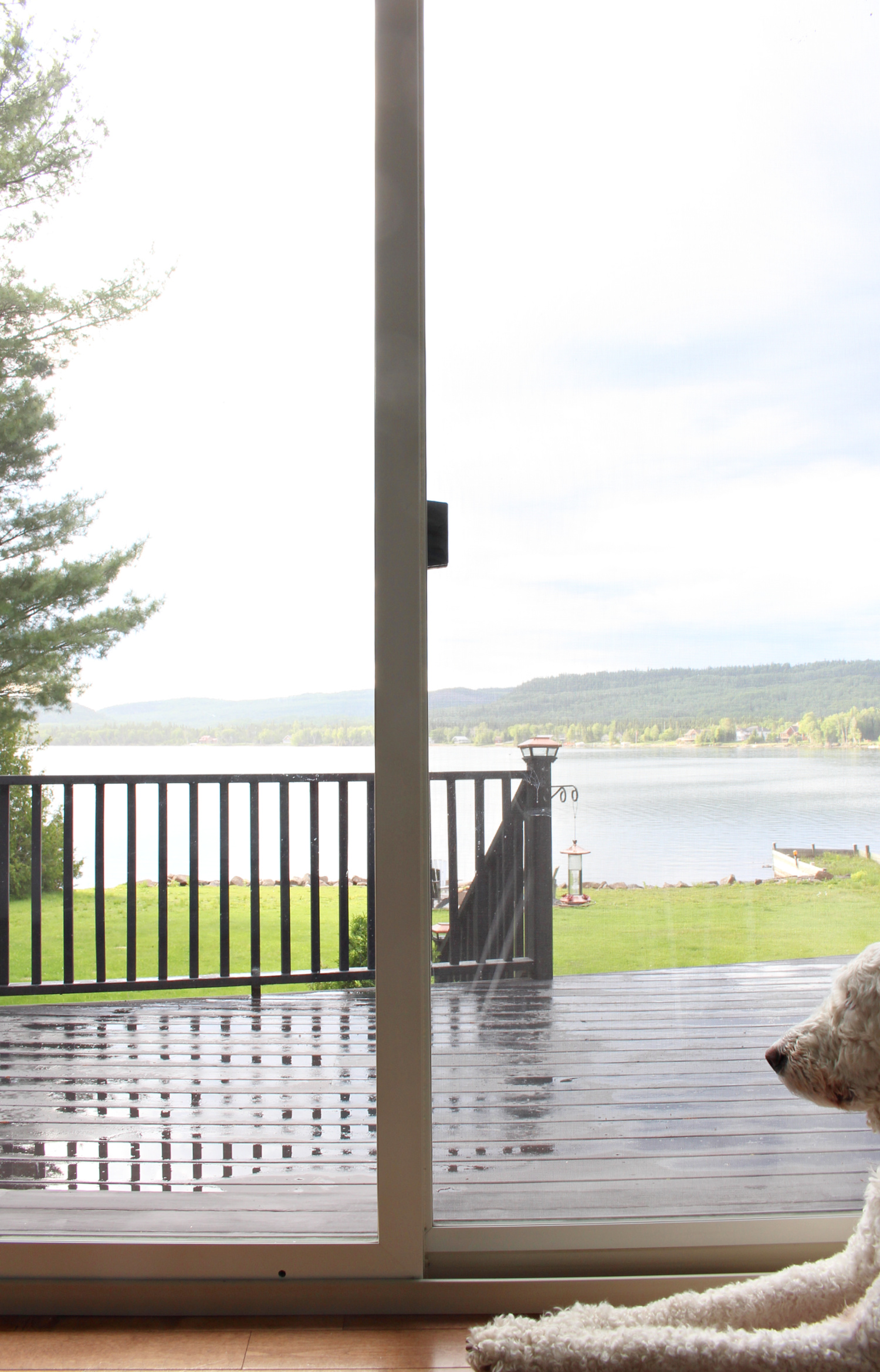 Wall of Windows with Lake View