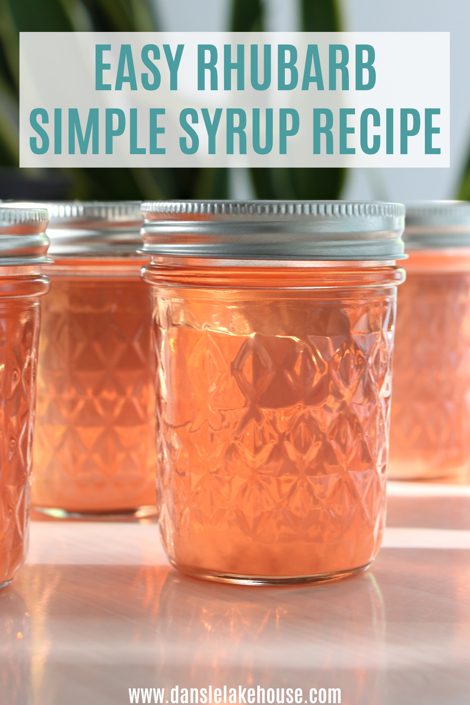 Easy Rhubarb Simple Syrup