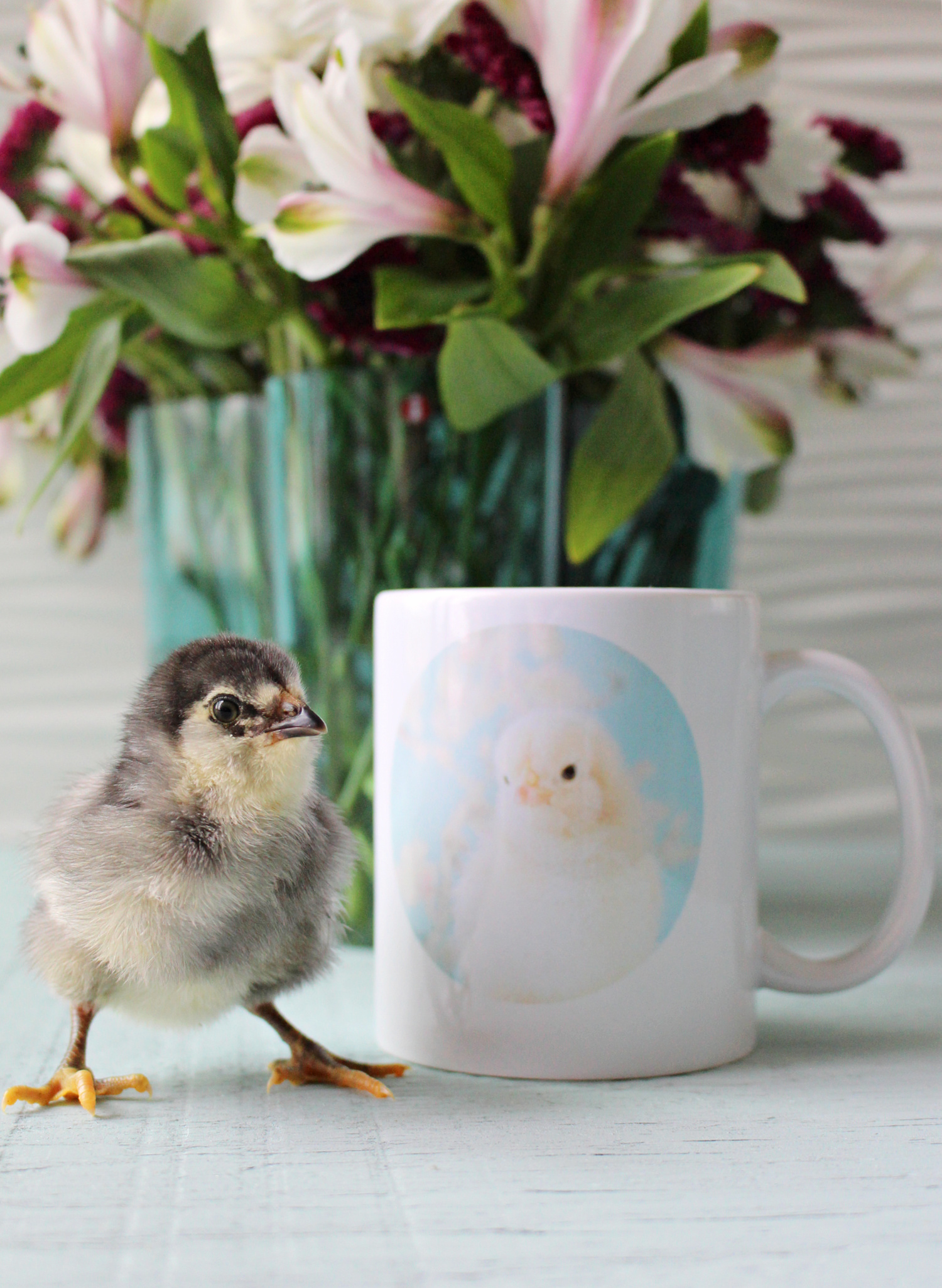 custom printed chick mug
