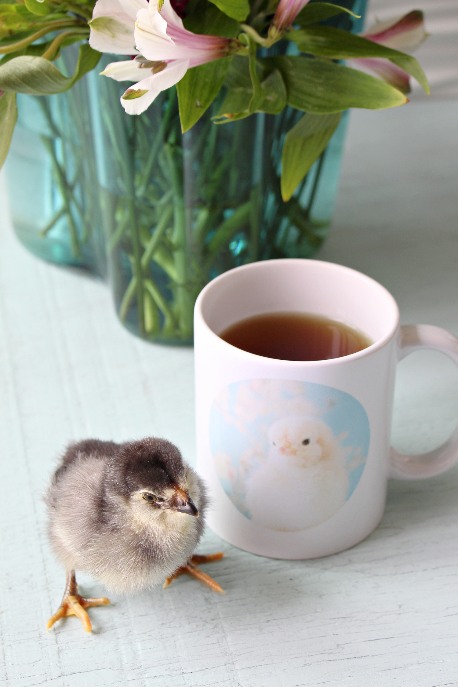 baby chick mug design