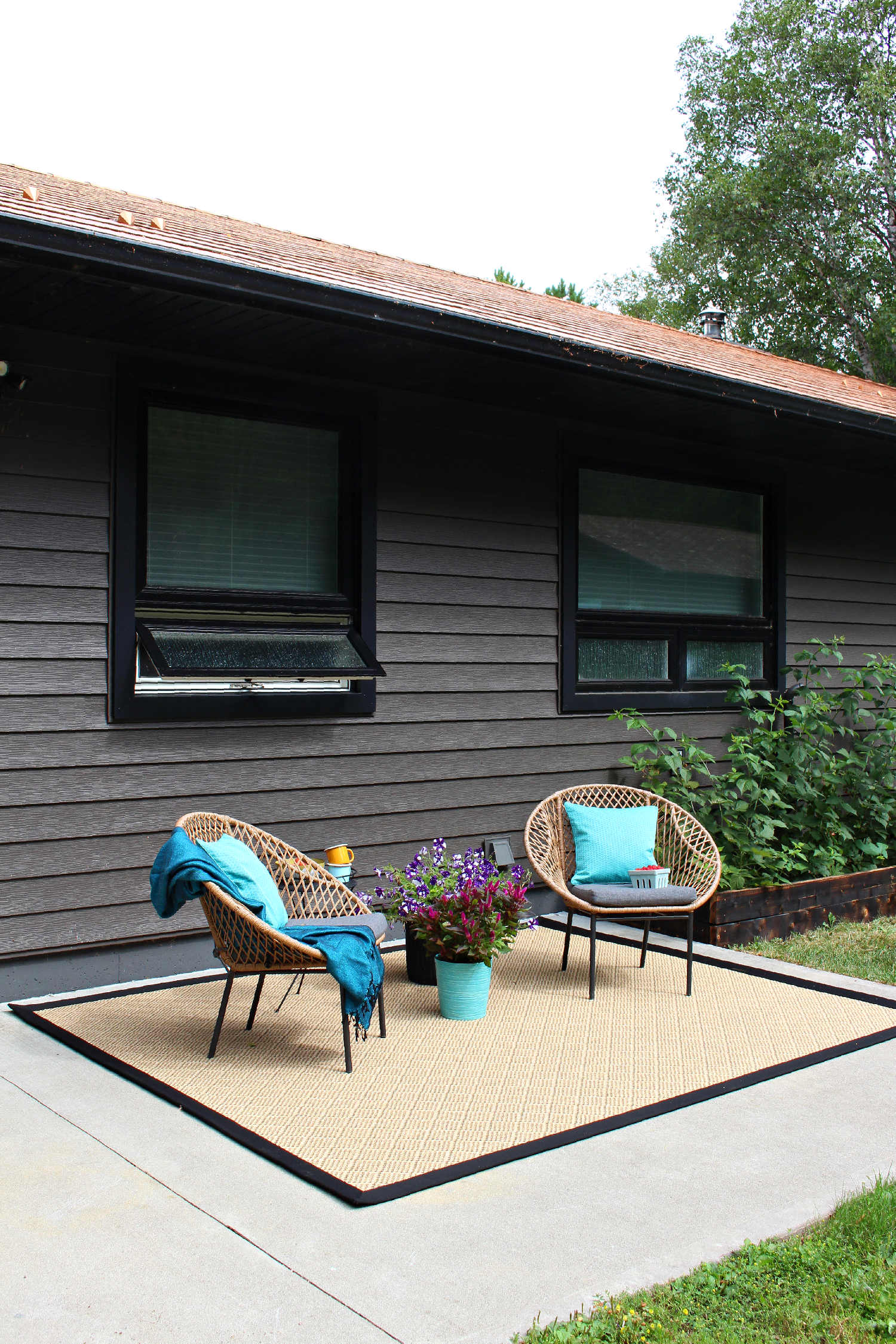 Neutral Outdoor Rug with Black Band