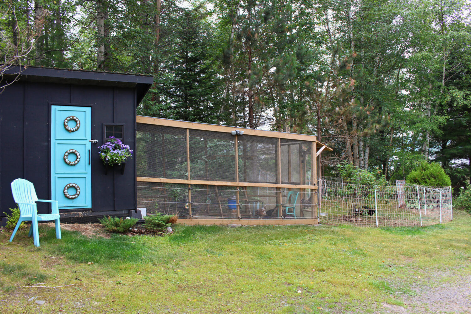 Modern DIY Chicken Coop and Run
