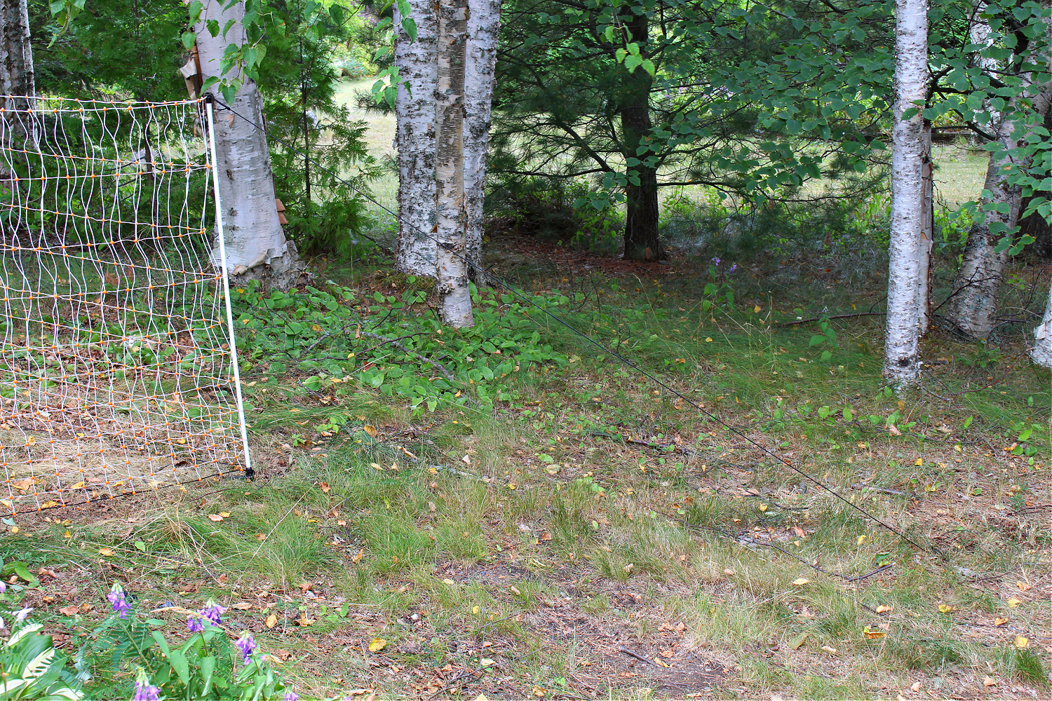 Keep Portable Electric Fence Stable