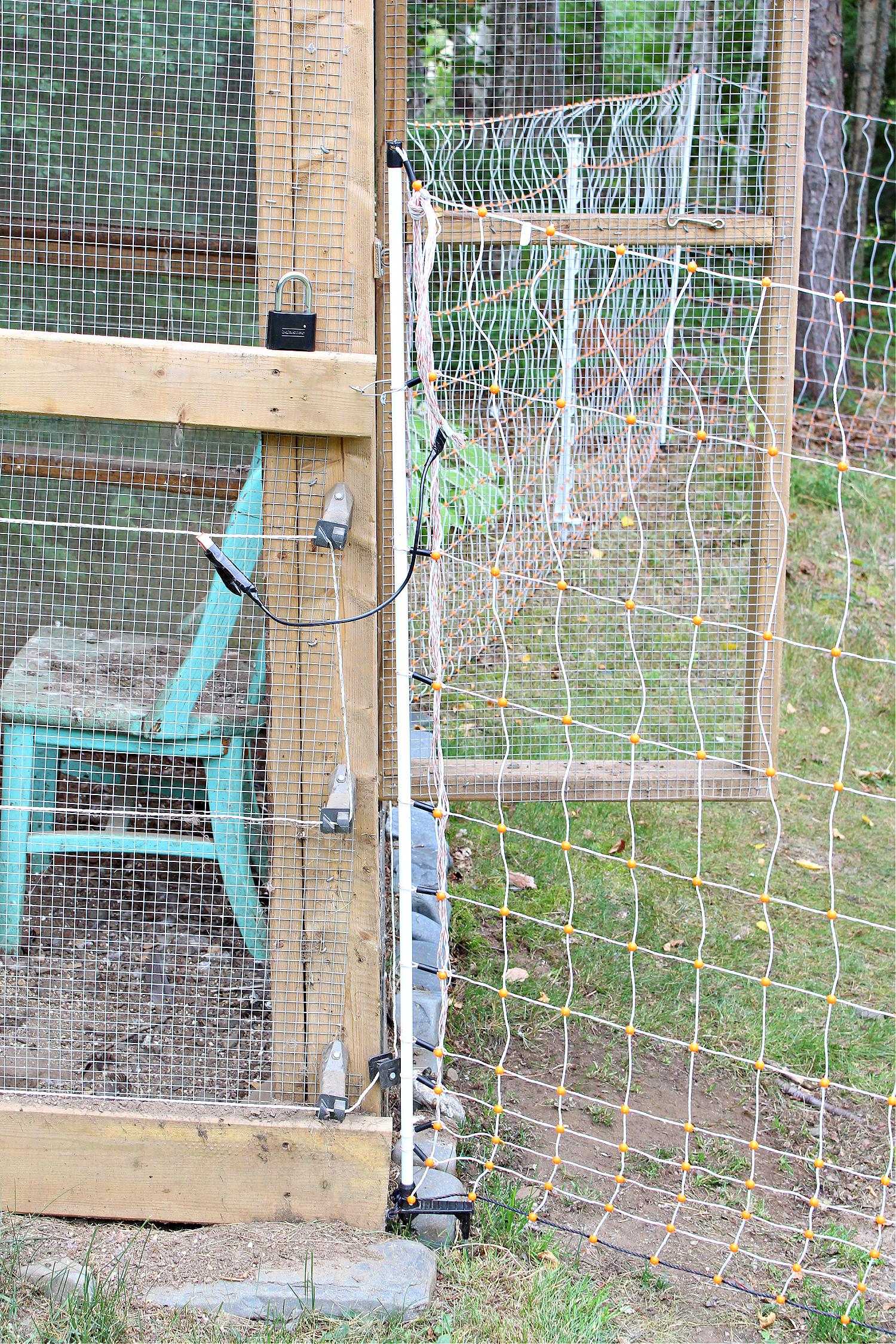 Electric Fencing on Chicken Run