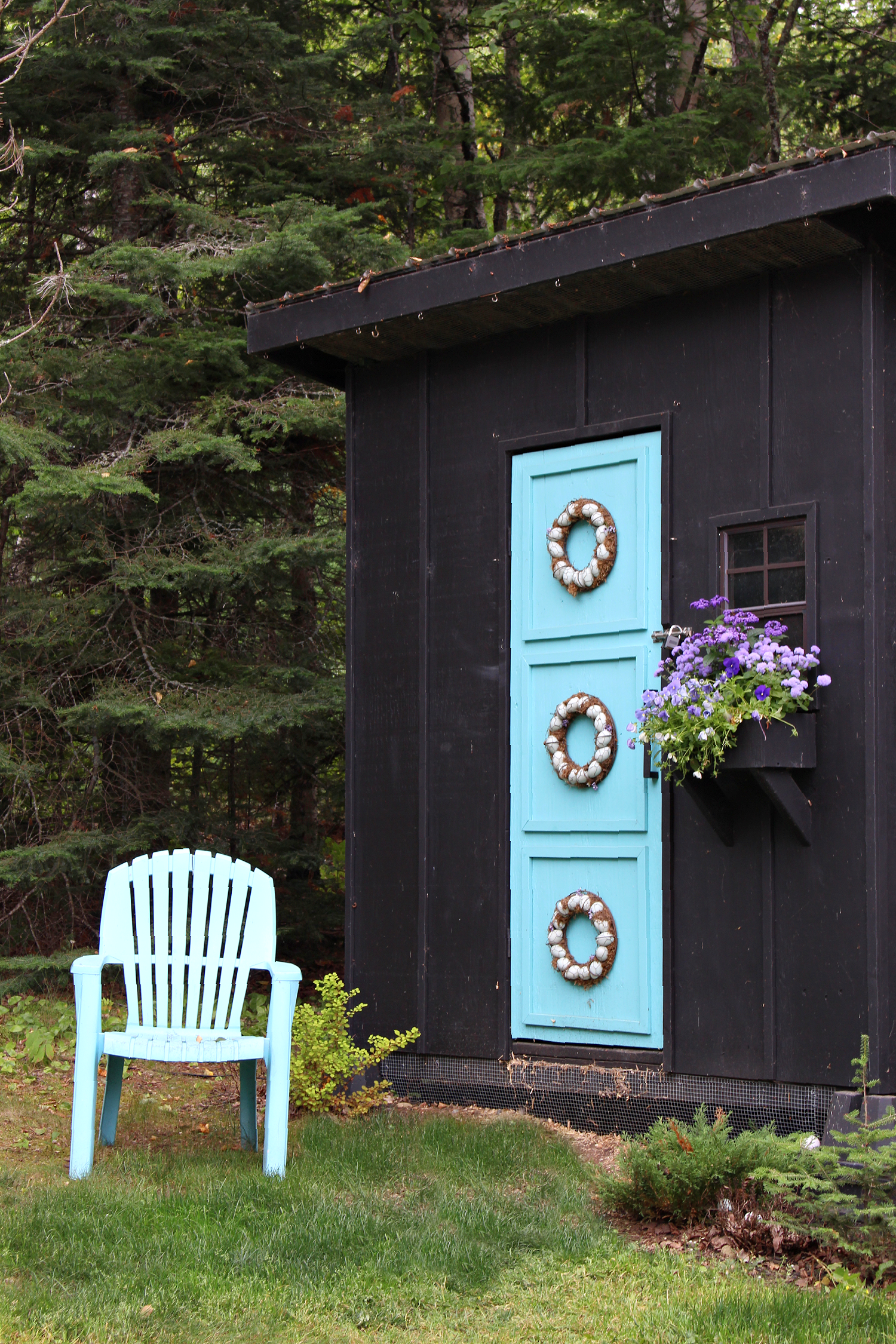 Modern DIY Barn for Chickens